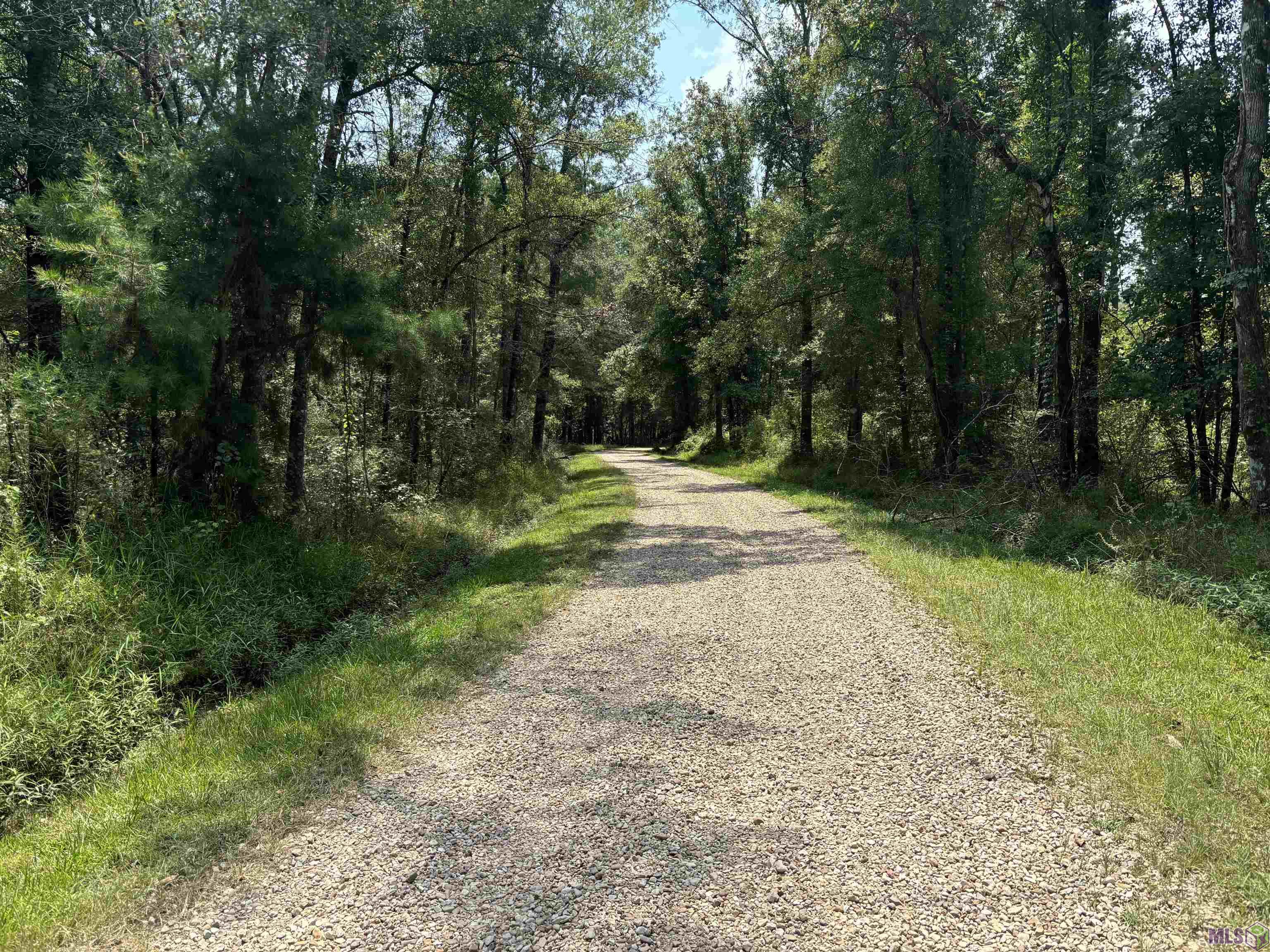 Tract D Westmoreland Ln, Montpelier, Louisiana image 1