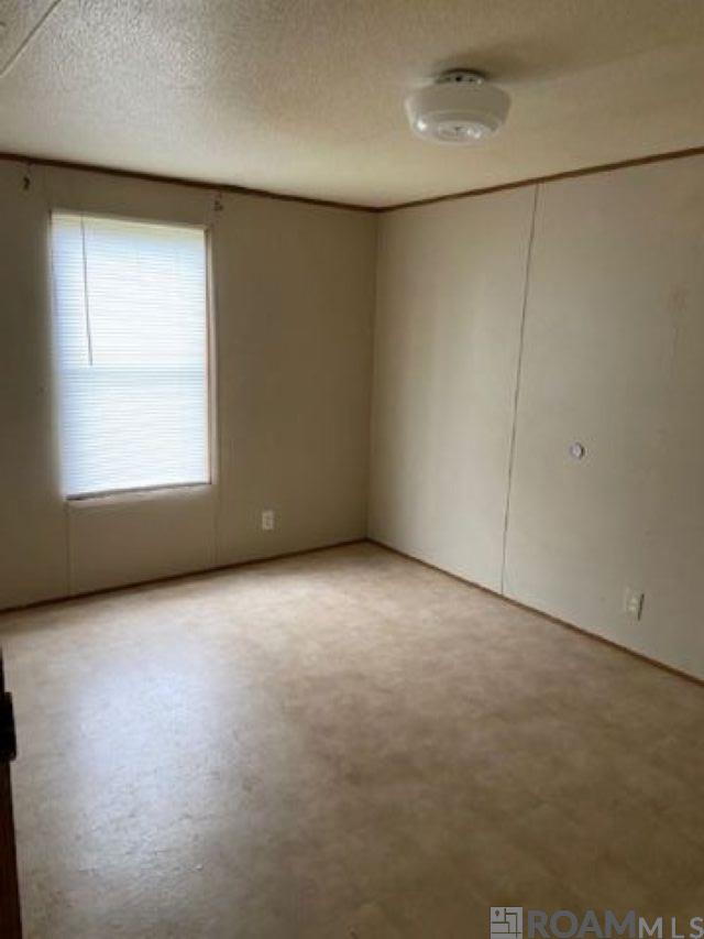 27250 Long Court, Holden, Louisiana image 3