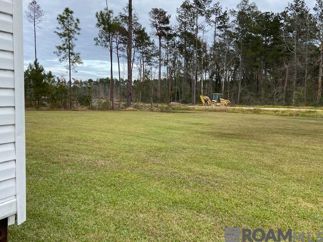 27250 Long Court, Holden, Louisiana image 8