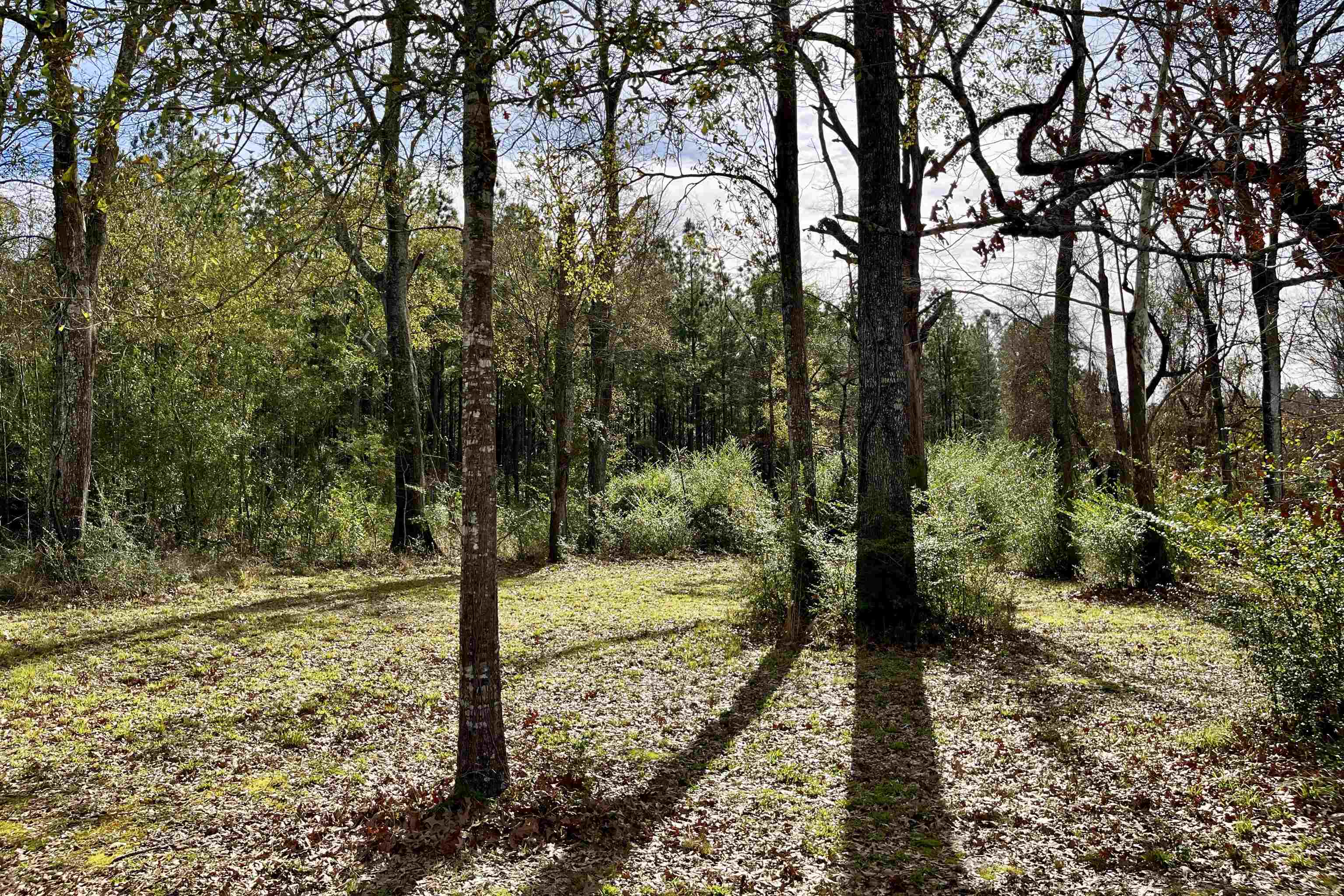 6624 Joe Daniel Rd, Saint Francisville, Louisiana image 21