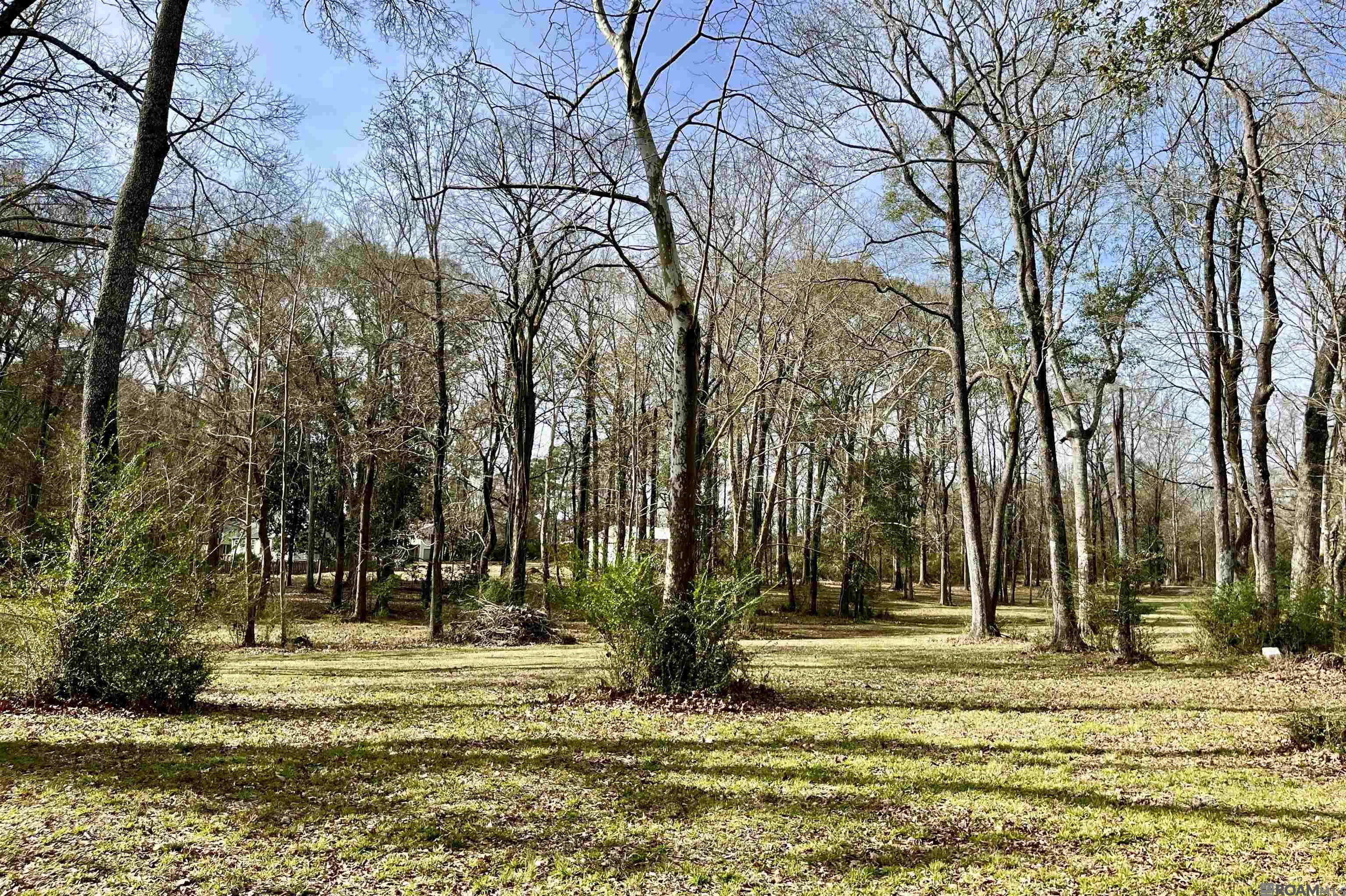 6624 Joe Daniel Rd, Saint Francisville, Louisiana image 31