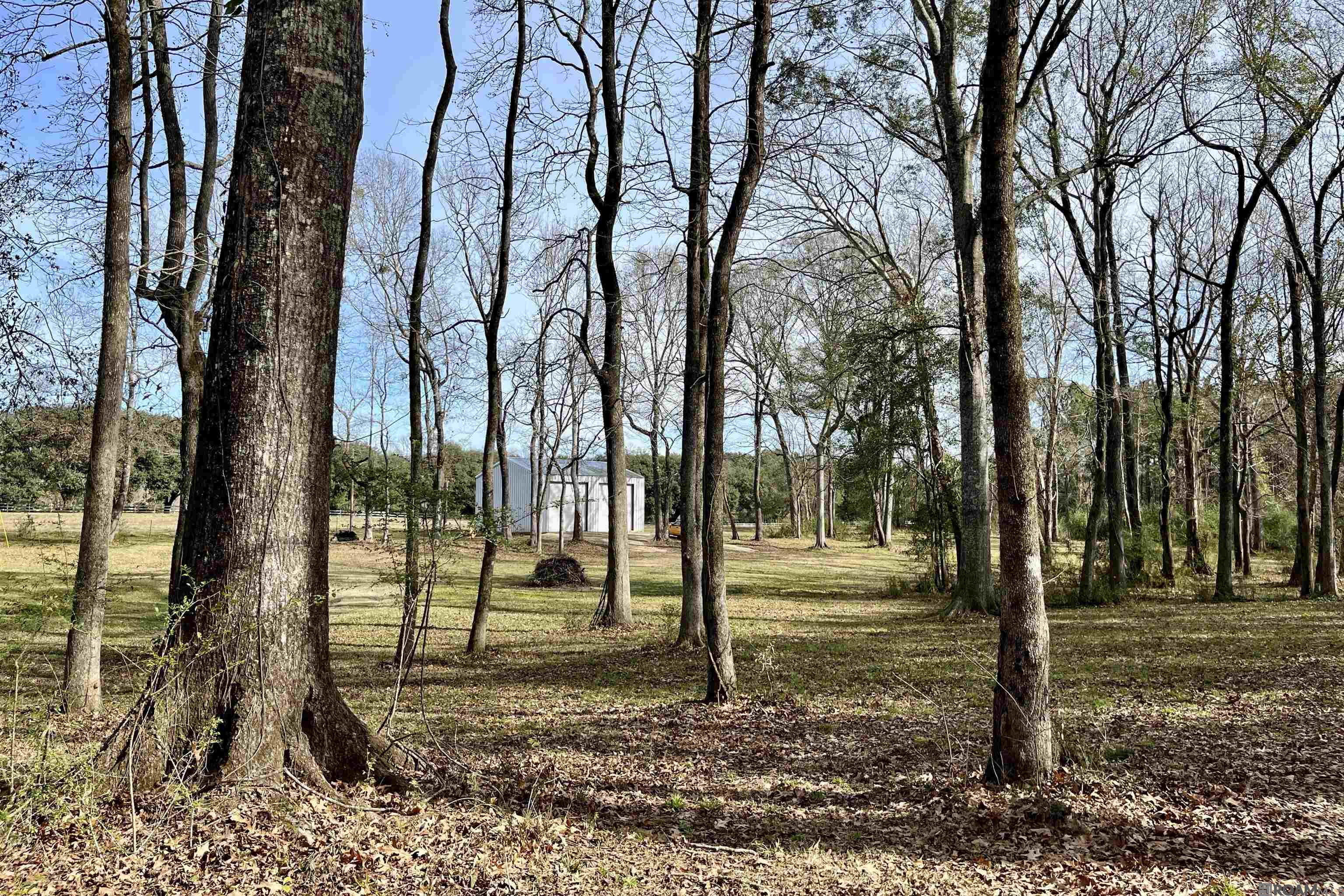 6624 Joe Daniel Rd, Saint Francisville, Louisiana image 49