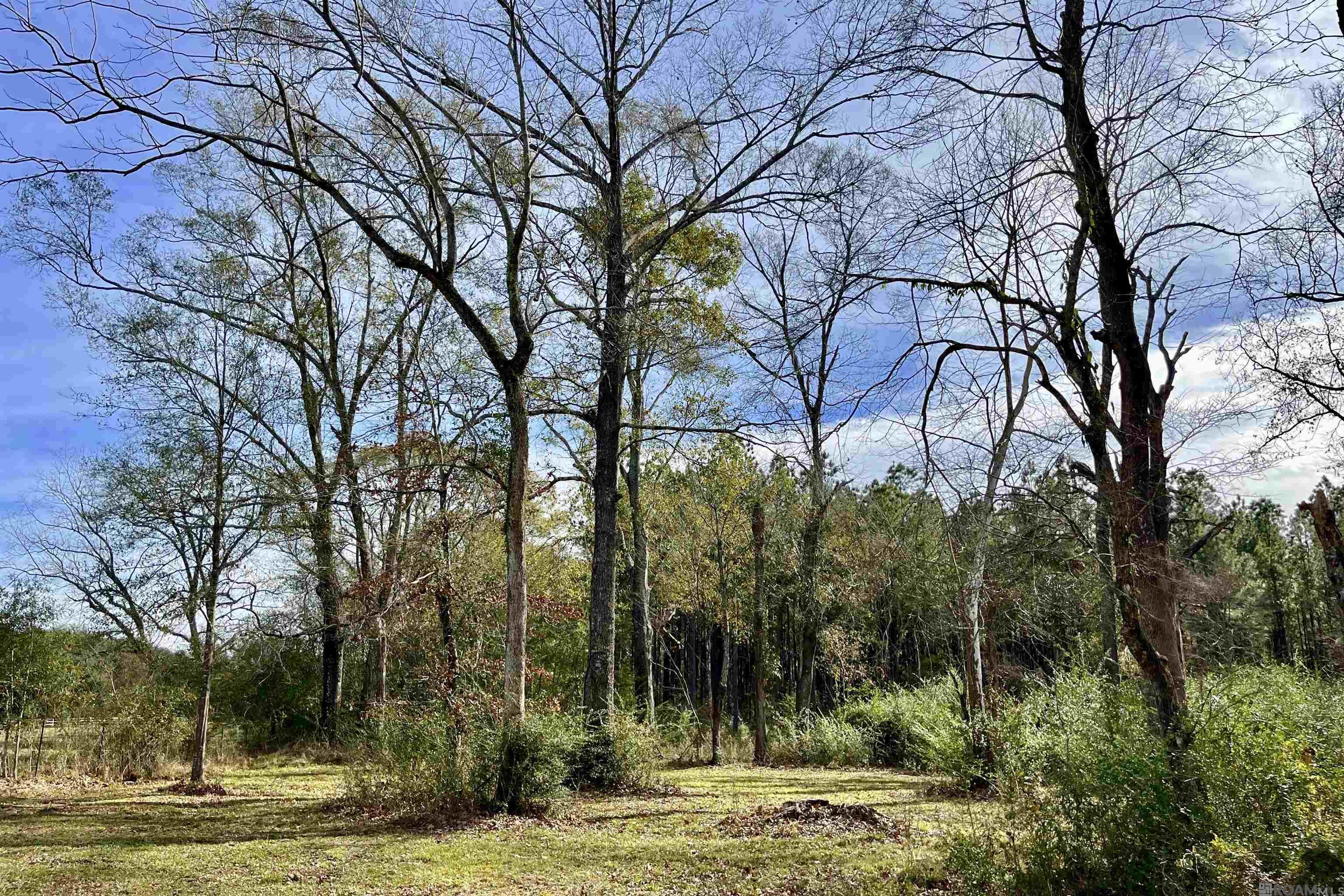6624 Joe Daniel Rd, Saint Francisville, Louisiana image 20
