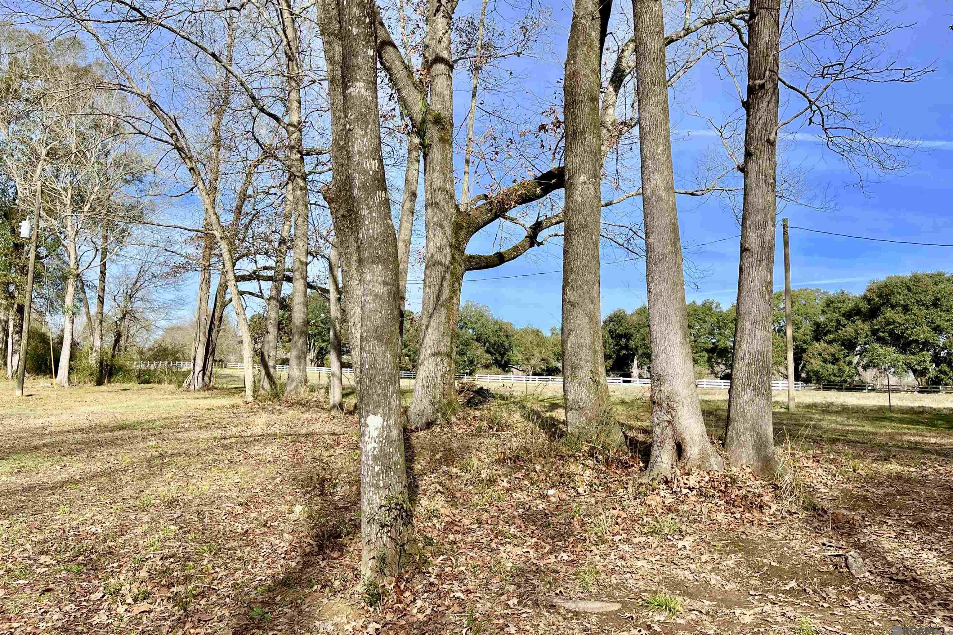 6624 Joe Daniel Rd, Saint Francisville, Louisiana image 25