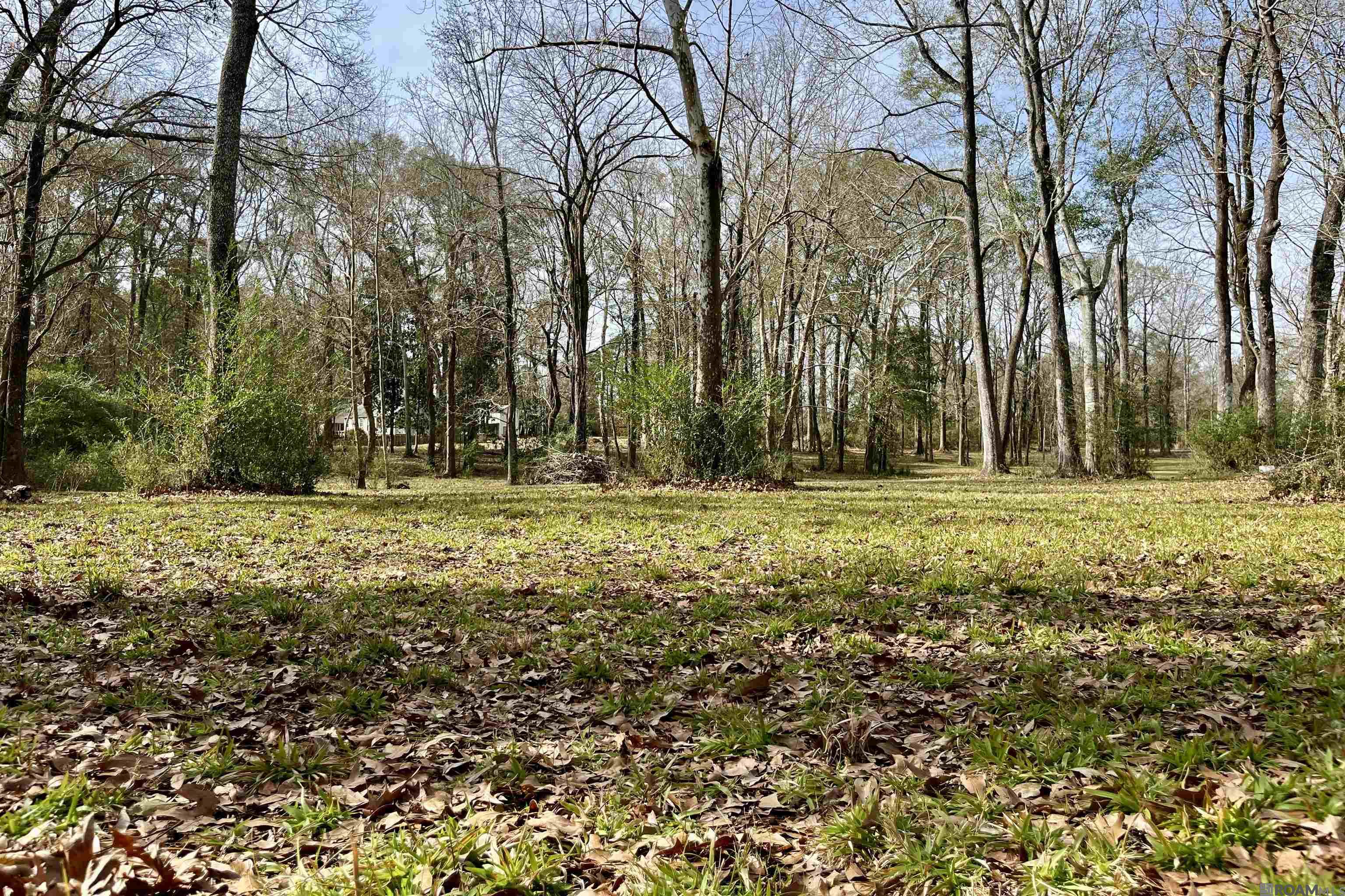6624 Joe Daniel Rd, Saint Francisville, Louisiana image 29
