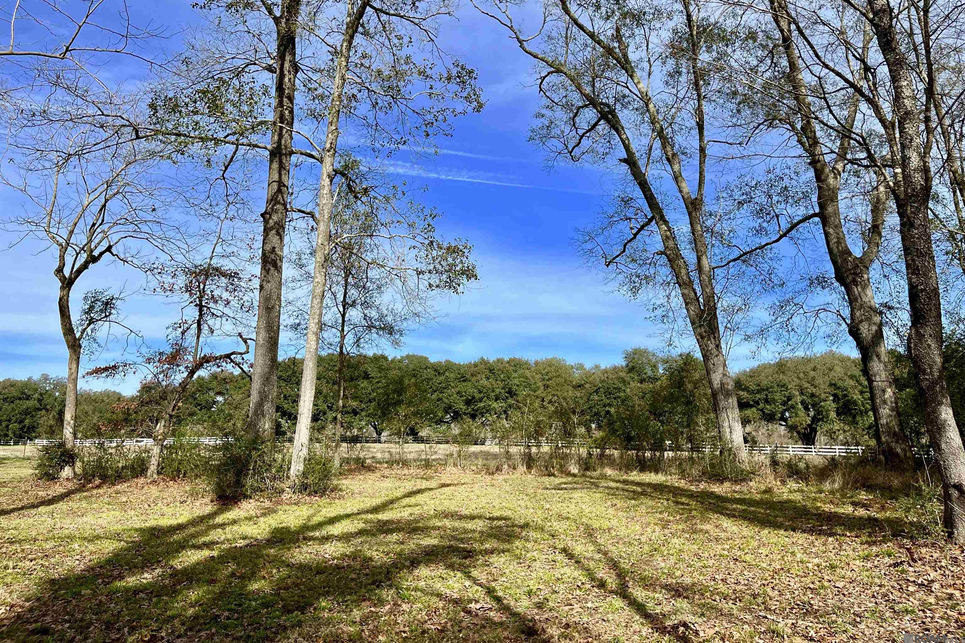 6624 Joe Daniel Rd, Saint Francisville, Louisiana image 32