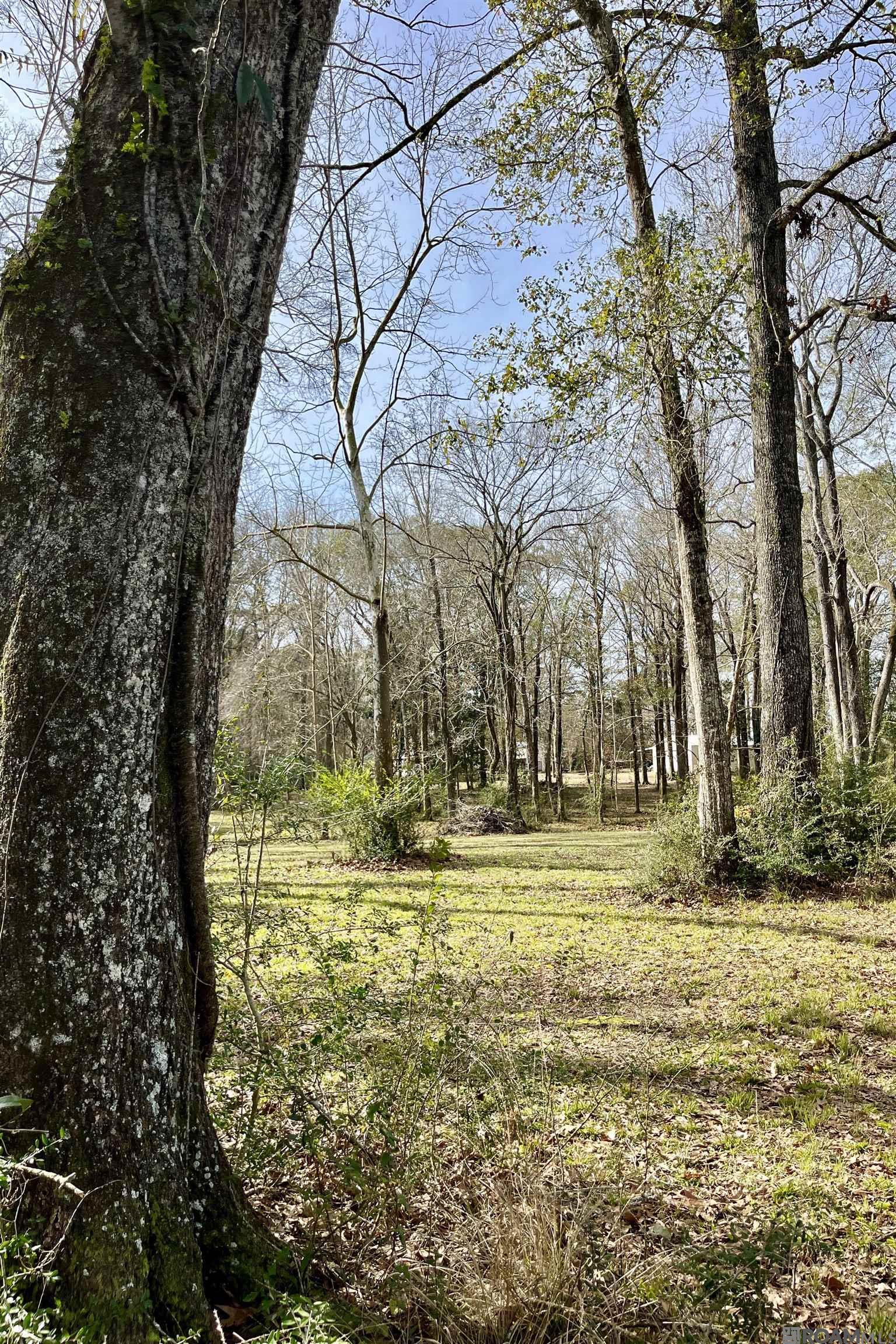 6624 Joe Daniel Rd, Saint Francisville, Louisiana image 26
