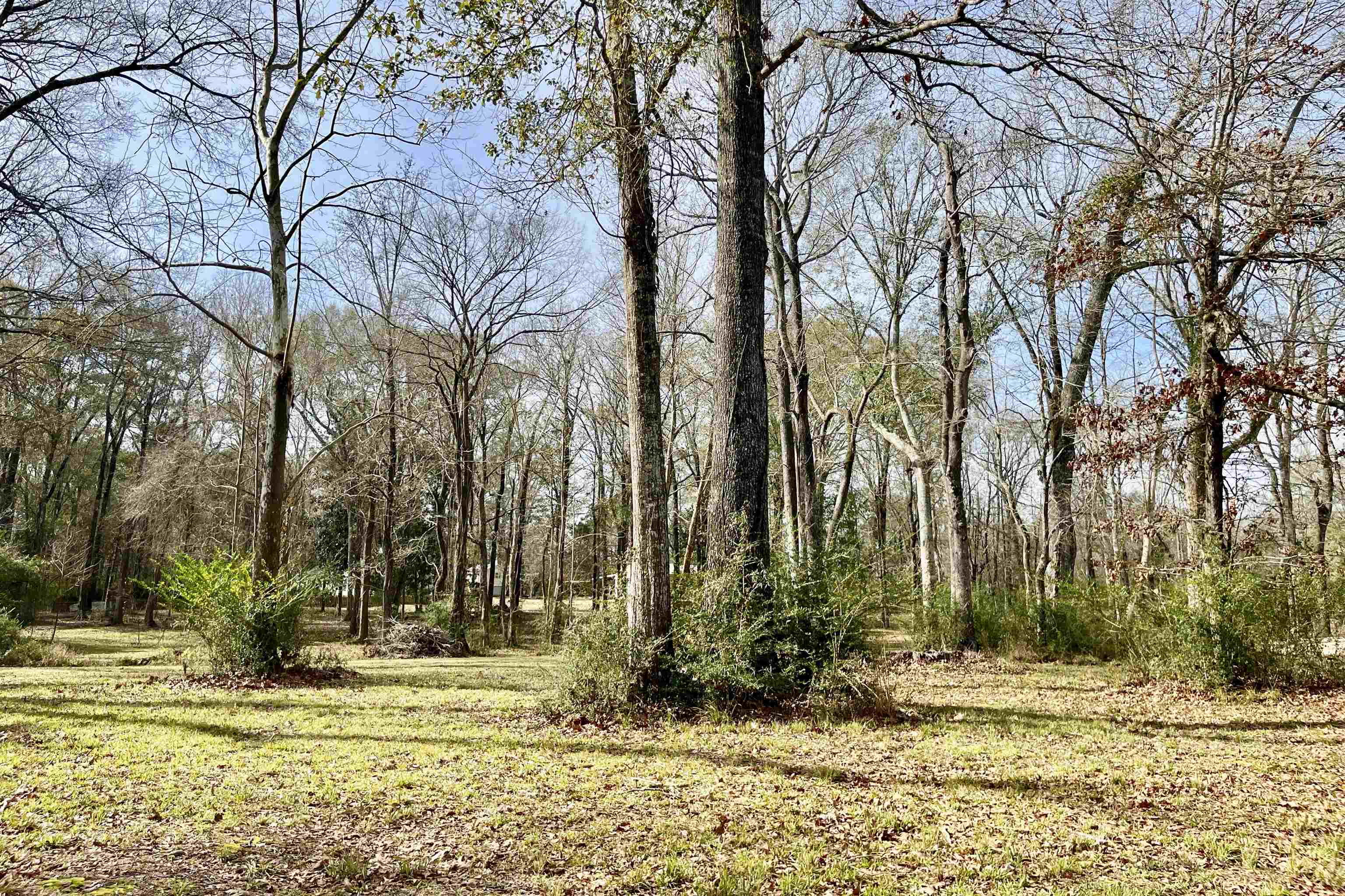 6624 Joe Daniel Rd, Saint Francisville, Louisiana image 5