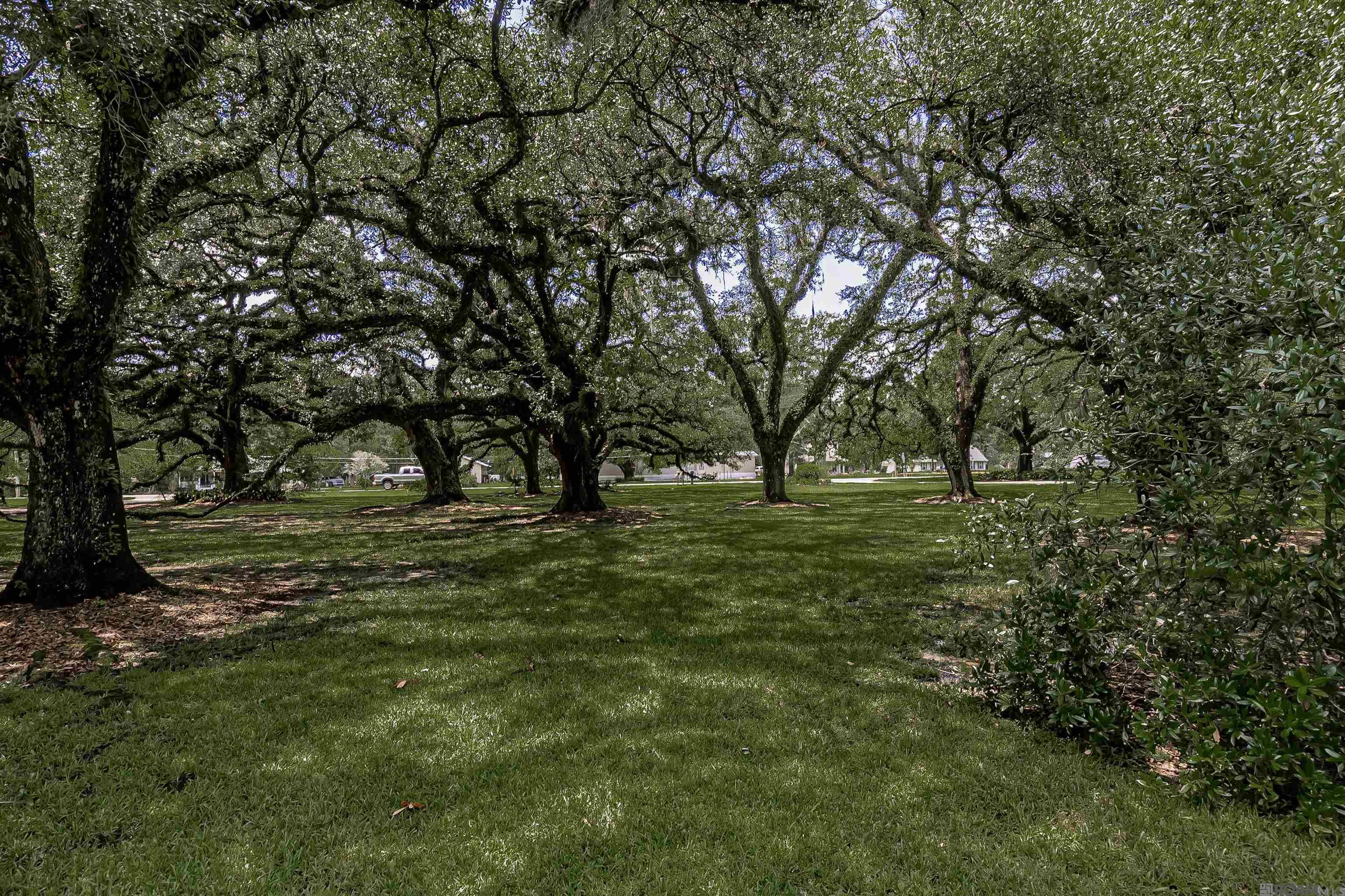 13138 Joor Rd, Baton Rouge, Louisiana image 31