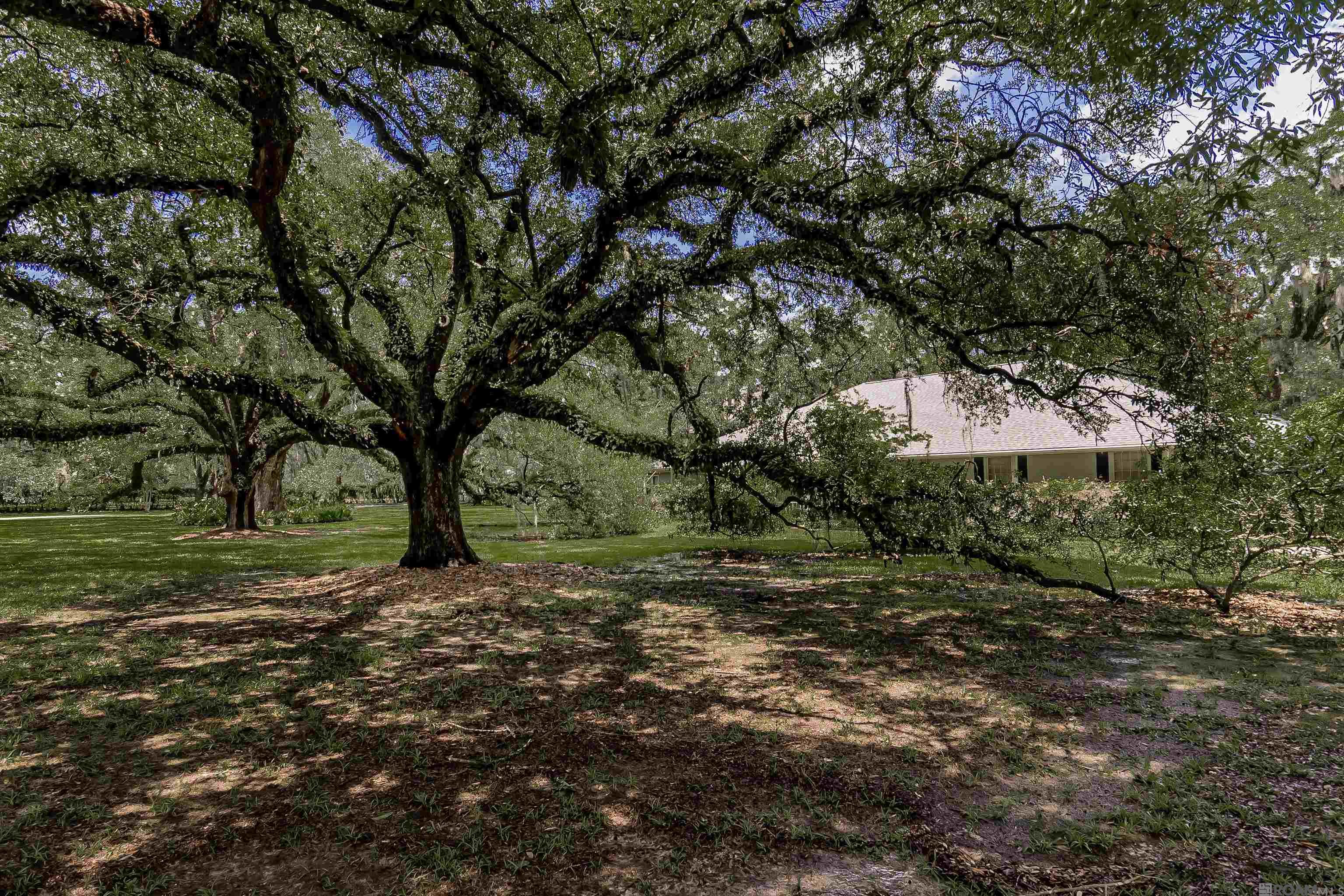 13138 Joor Rd, Baton Rouge, Louisiana image 3