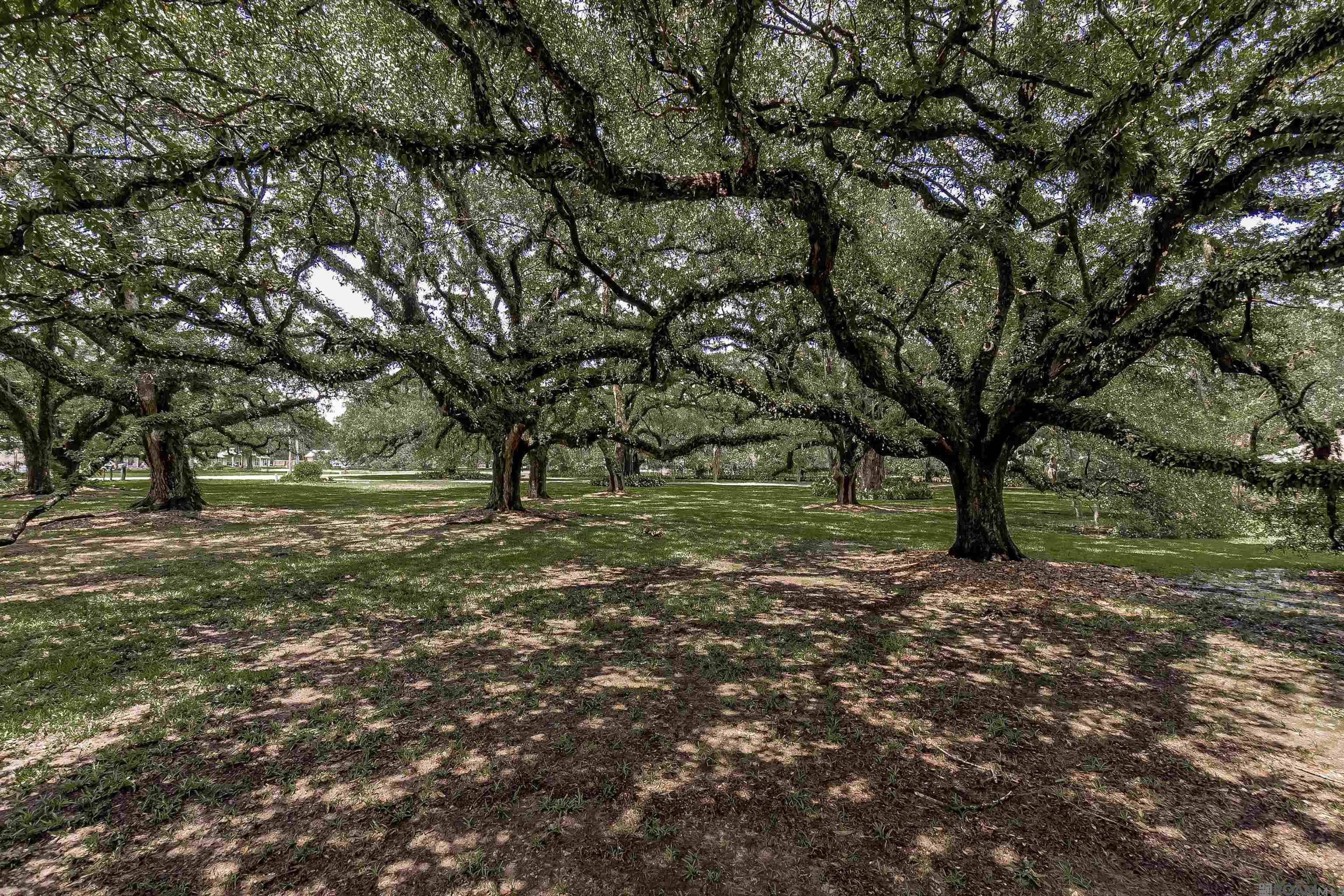 13138 Joor Rd, Baton Rouge, Louisiana image 2