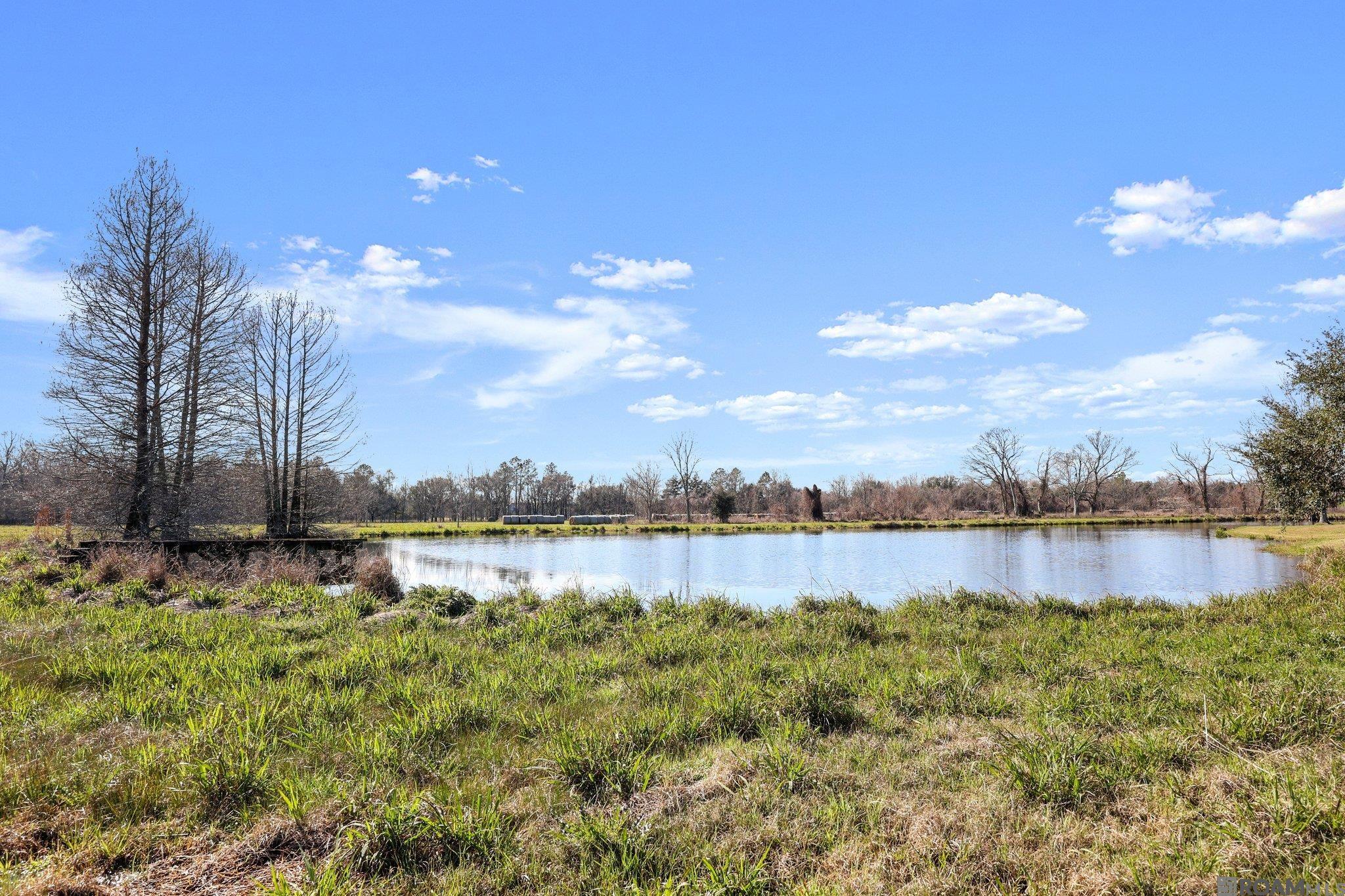 515 River Rd, Sunshine, Louisiana image 32