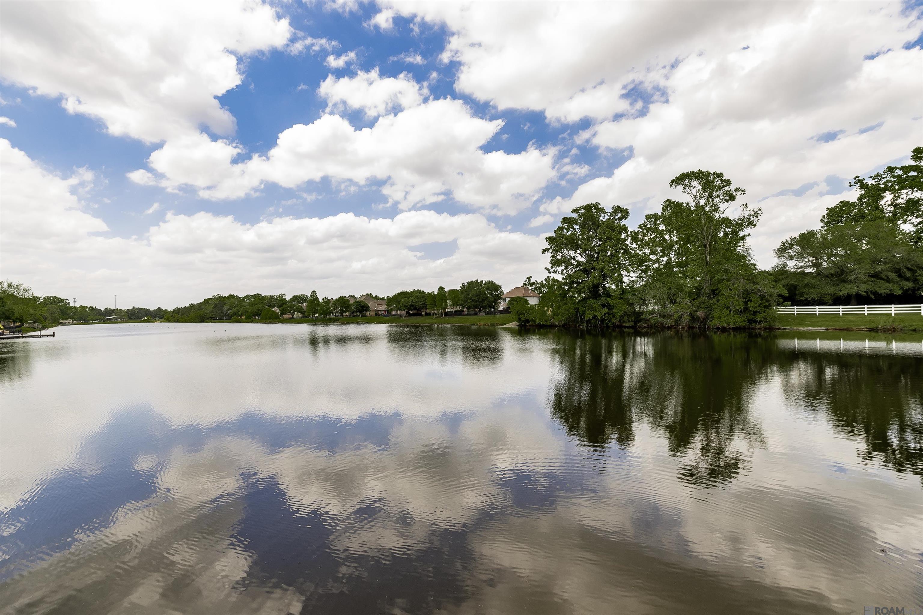 37326 Lakeshore Ave, Prairieville, Louisiana image 4