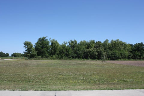 Vacant Land For Sale - 217 Morning Star Drive<br/> Thibodaux, LA 70301