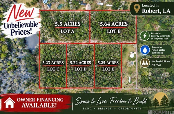 5.22 ACRES HERITAGE ACRES LN, ROBERT, LA 70455 - Image 3b2a8e705ed7c23a4ff2feaeb7ddc7b0/2966461619