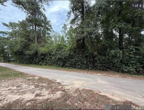 Vacant Land For Sale - LOT 125 W Choctaw Dr<br/> Franklinton, LA 70438
