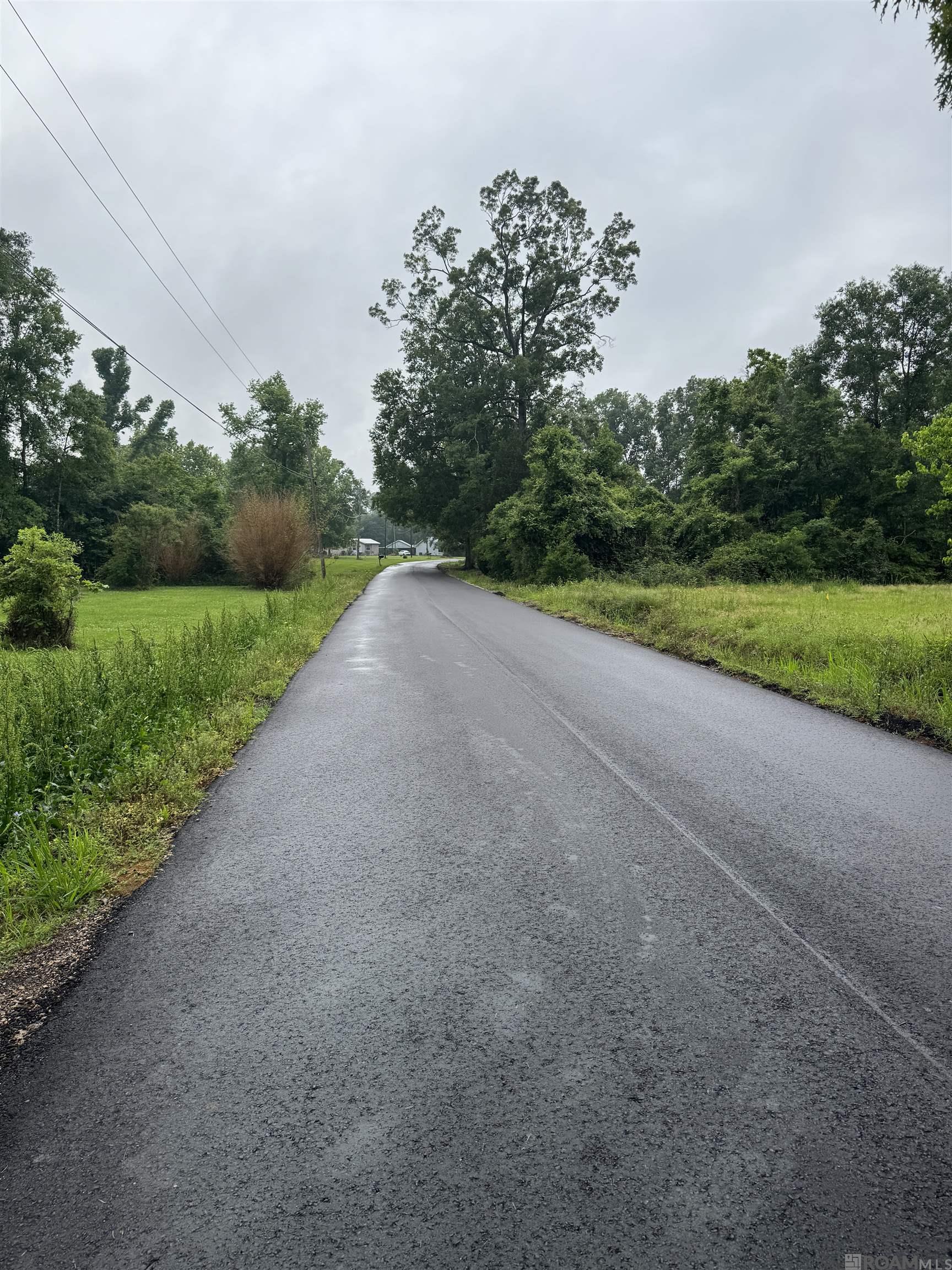 Tract J-2 Watts Rd, Livingston, Louisiana image 6