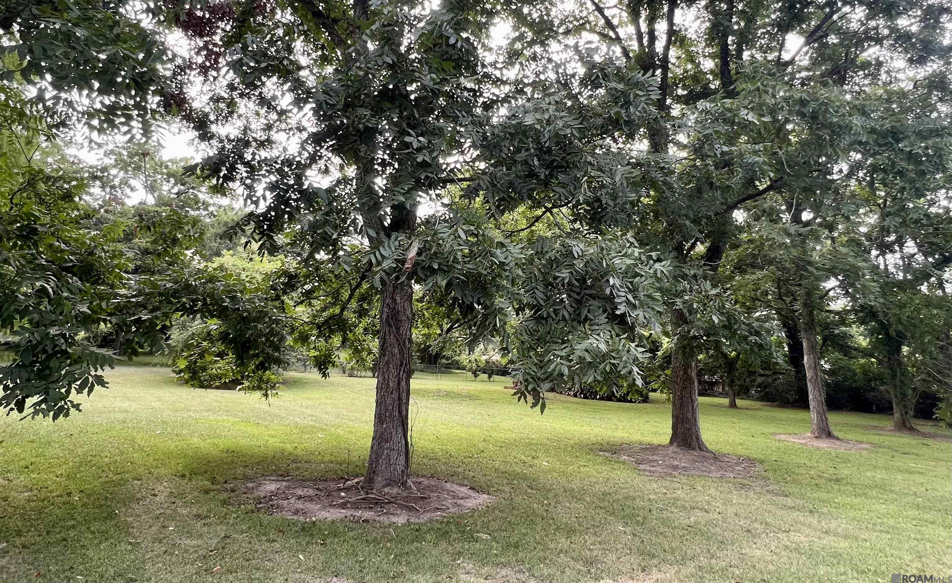 7357 - Tract Hwy 61, Saint Francisville, Louisiana image 9