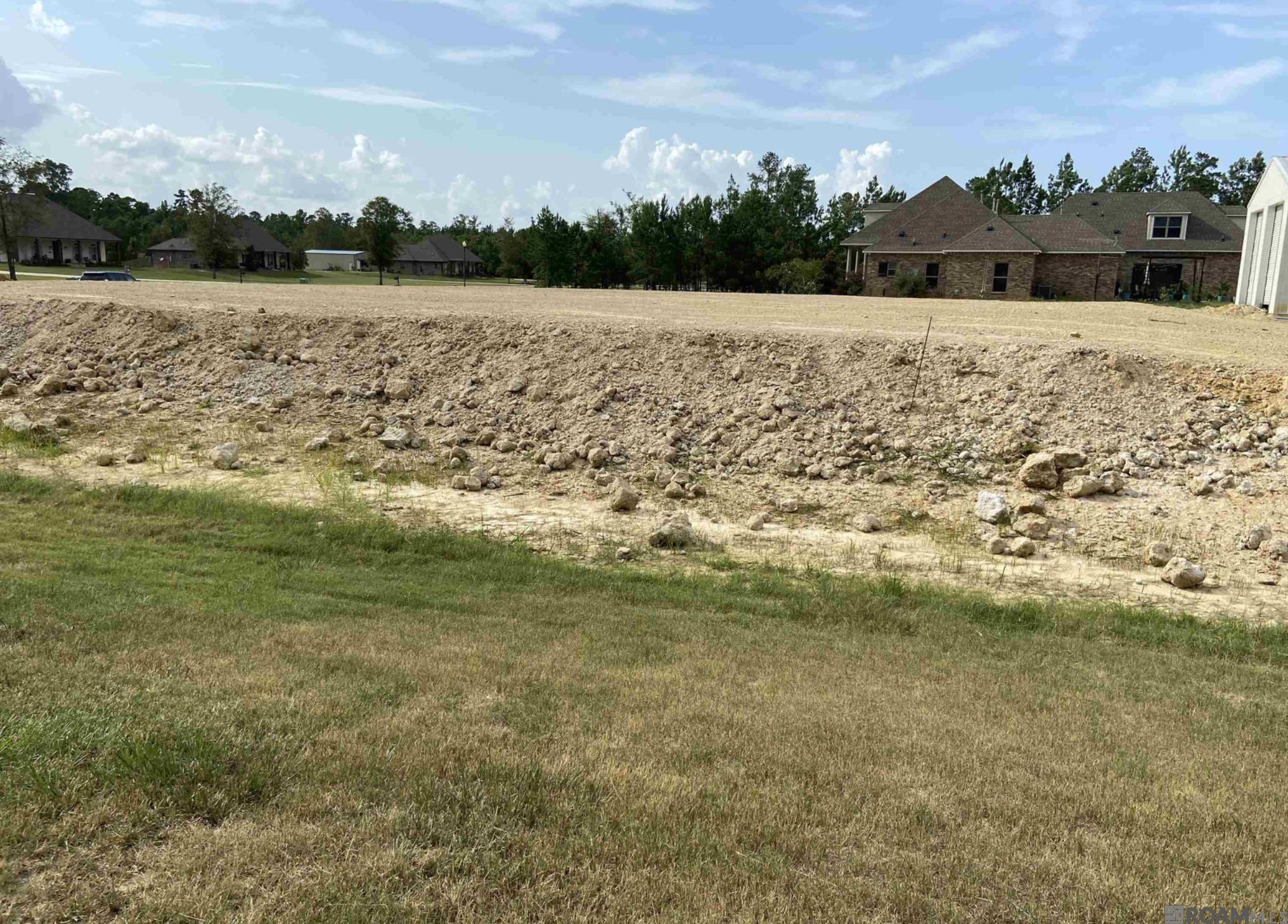 34332 Quarter Horse Ln, Walker, Louisiana image 4