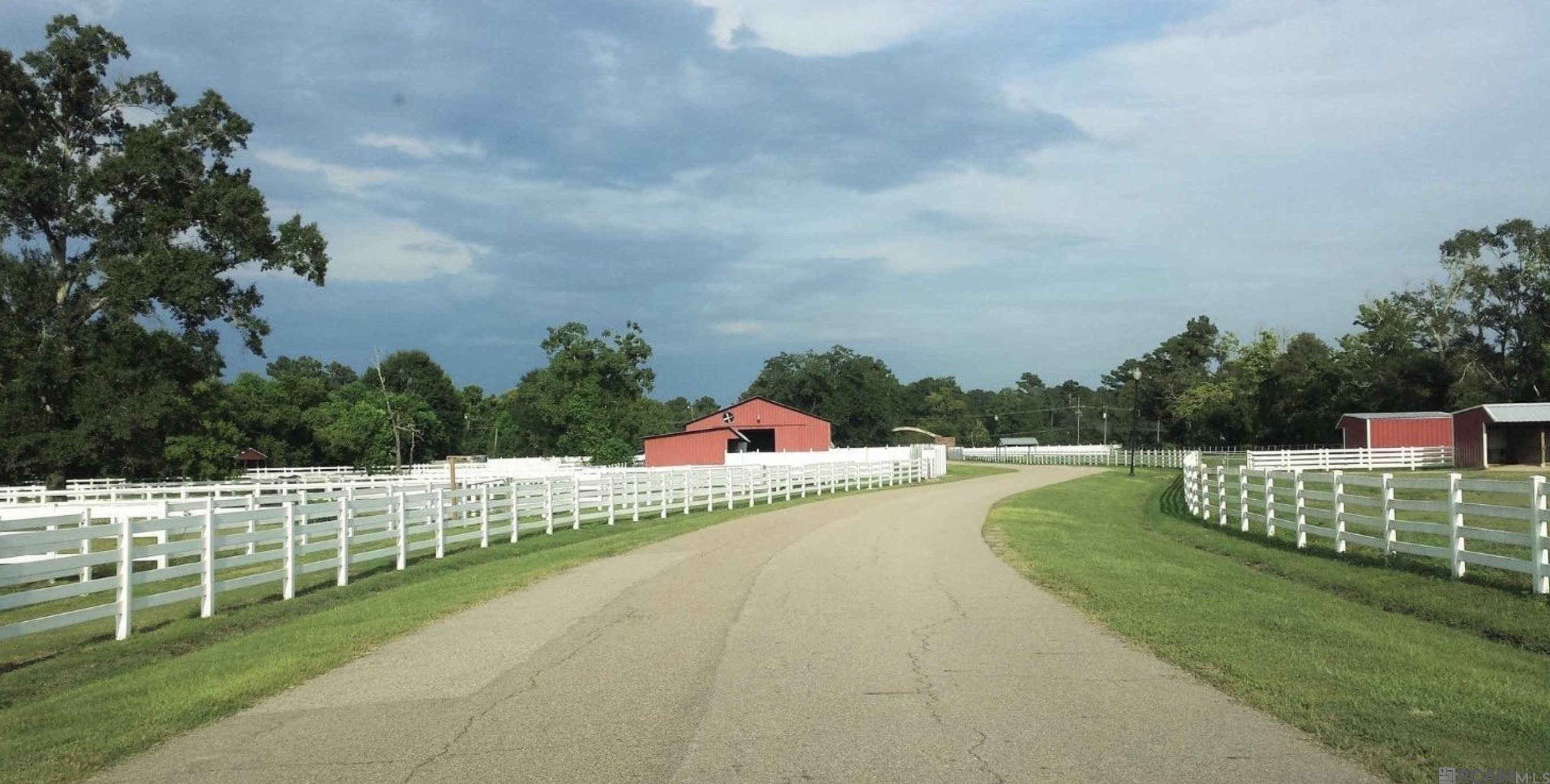 34332 Quarter Horse Ln, Walker, Louisiana image 1
