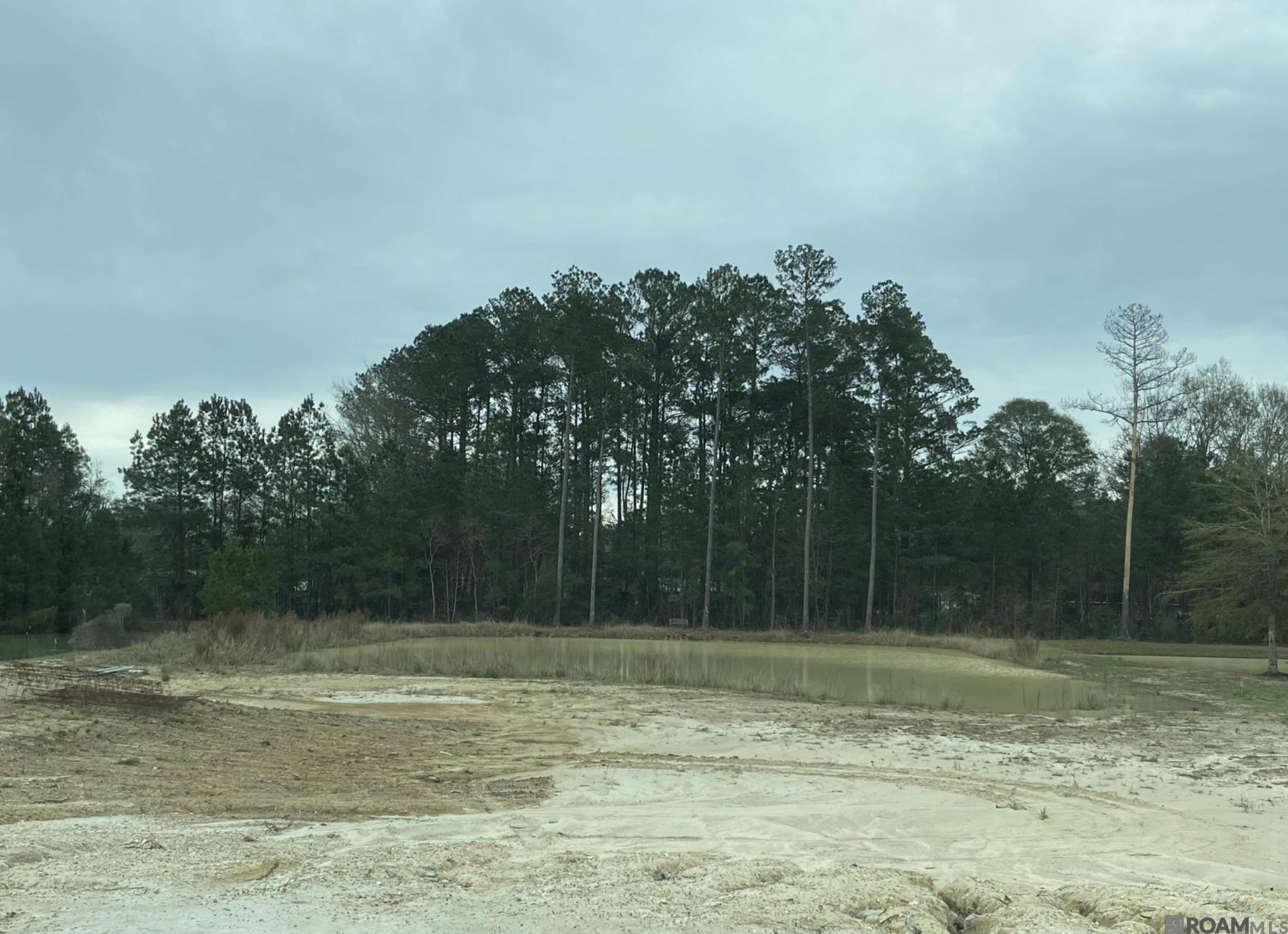 34332 Quarter Horse Ln, Walker, Louisiana image 2