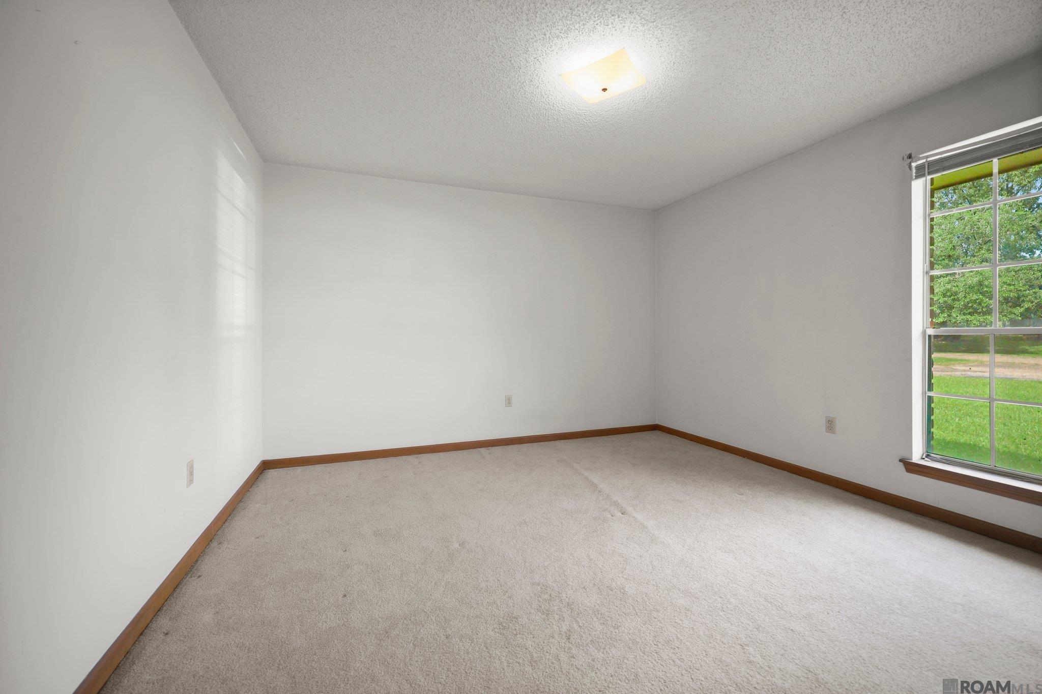 921 Jane Dr, Denham Springs, Louisiana image 18