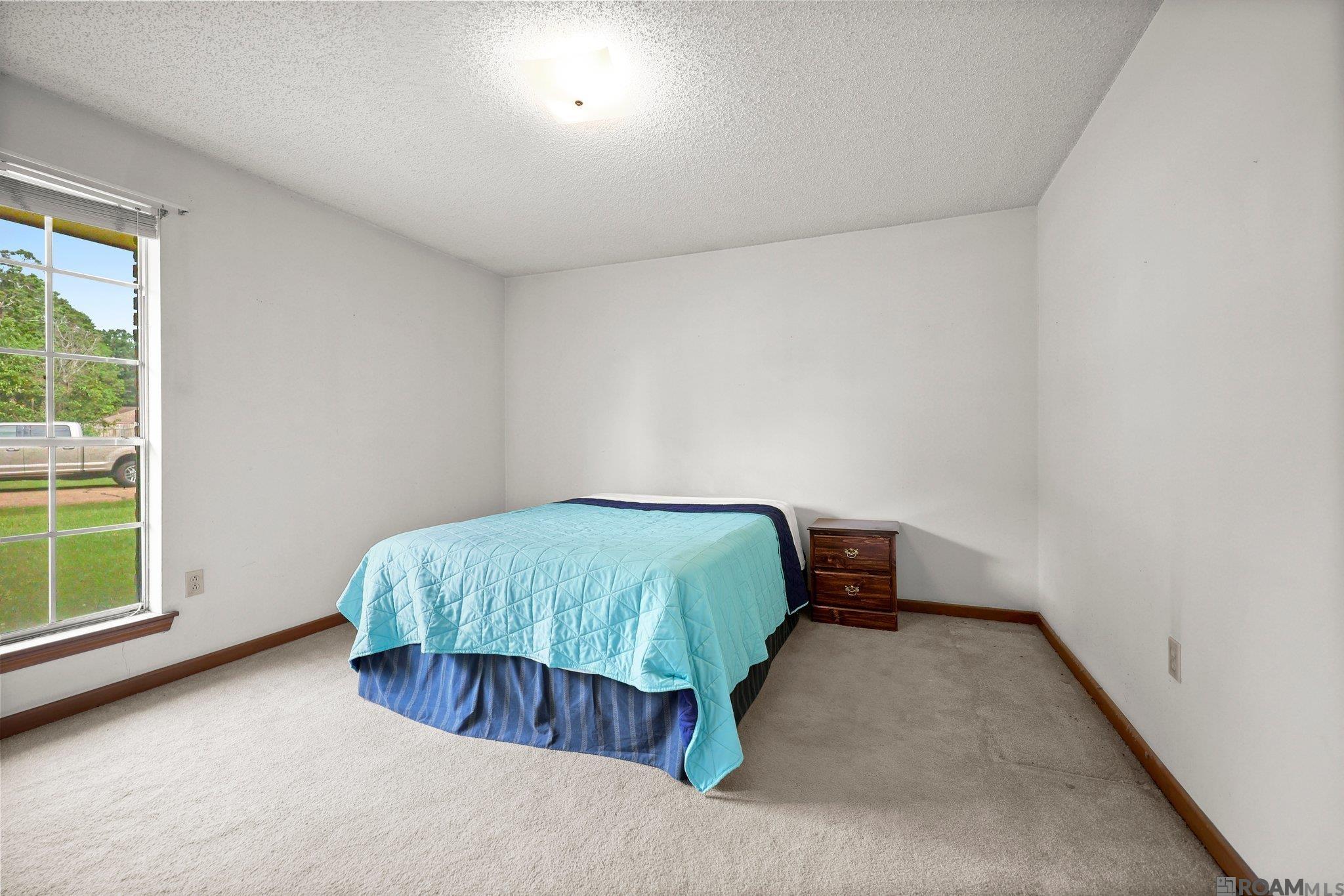 921 Jane Dr, Denham Springs, Louisiana image 17