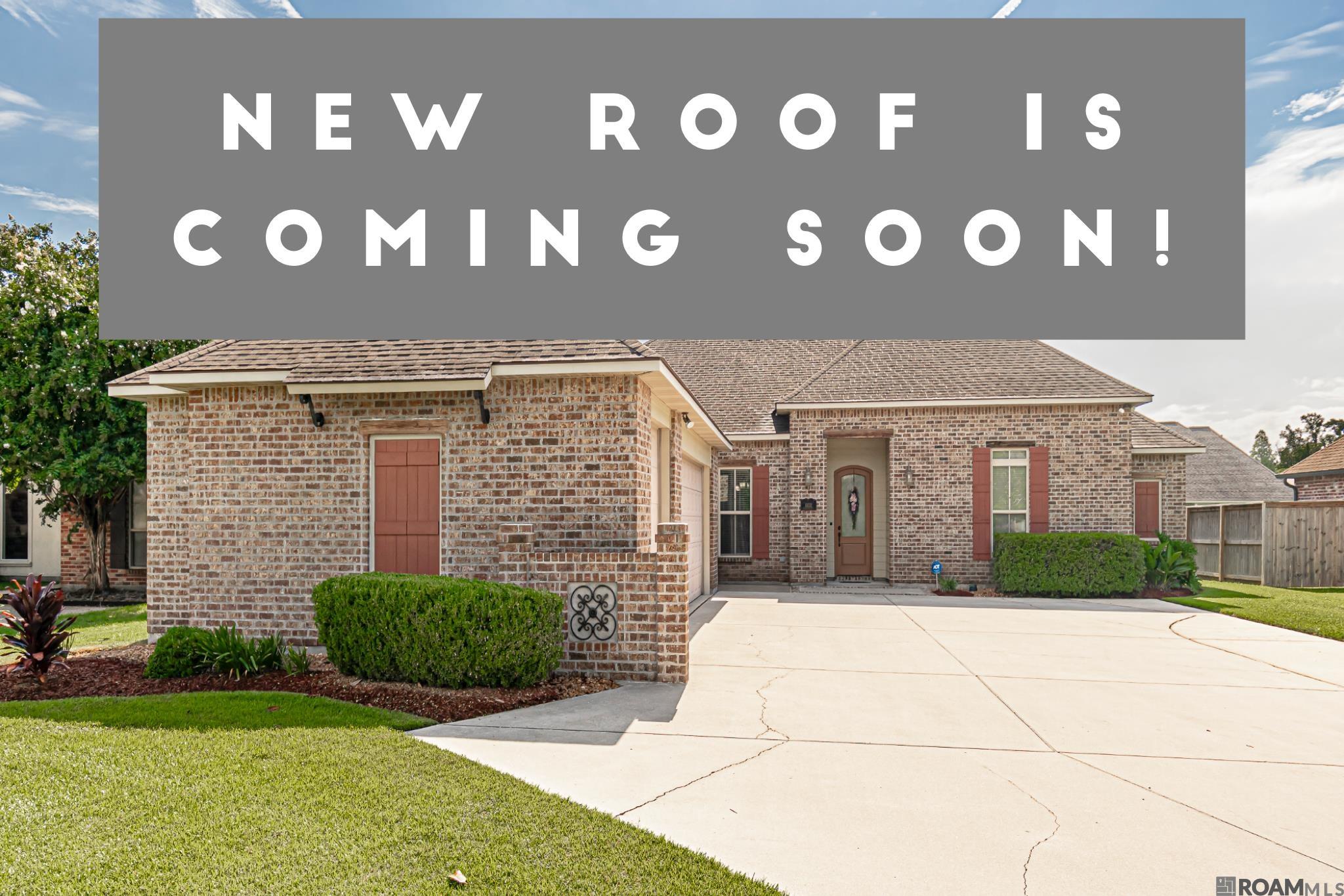 13232 Dutchtown Lakes Dr, Geismar, Louisiana image 1