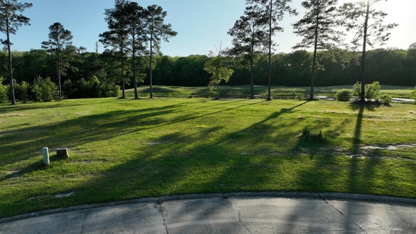 23282 NOBLE OAK DR, SPRINGFIELD, LA 70462 - Image 4001fa2e409f2e1e9206c3b99b4f284c/184599236
