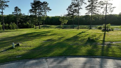 Vacant Land For Sale - 23282 Noble Oak Dr<br/> Springfield, LA 70462