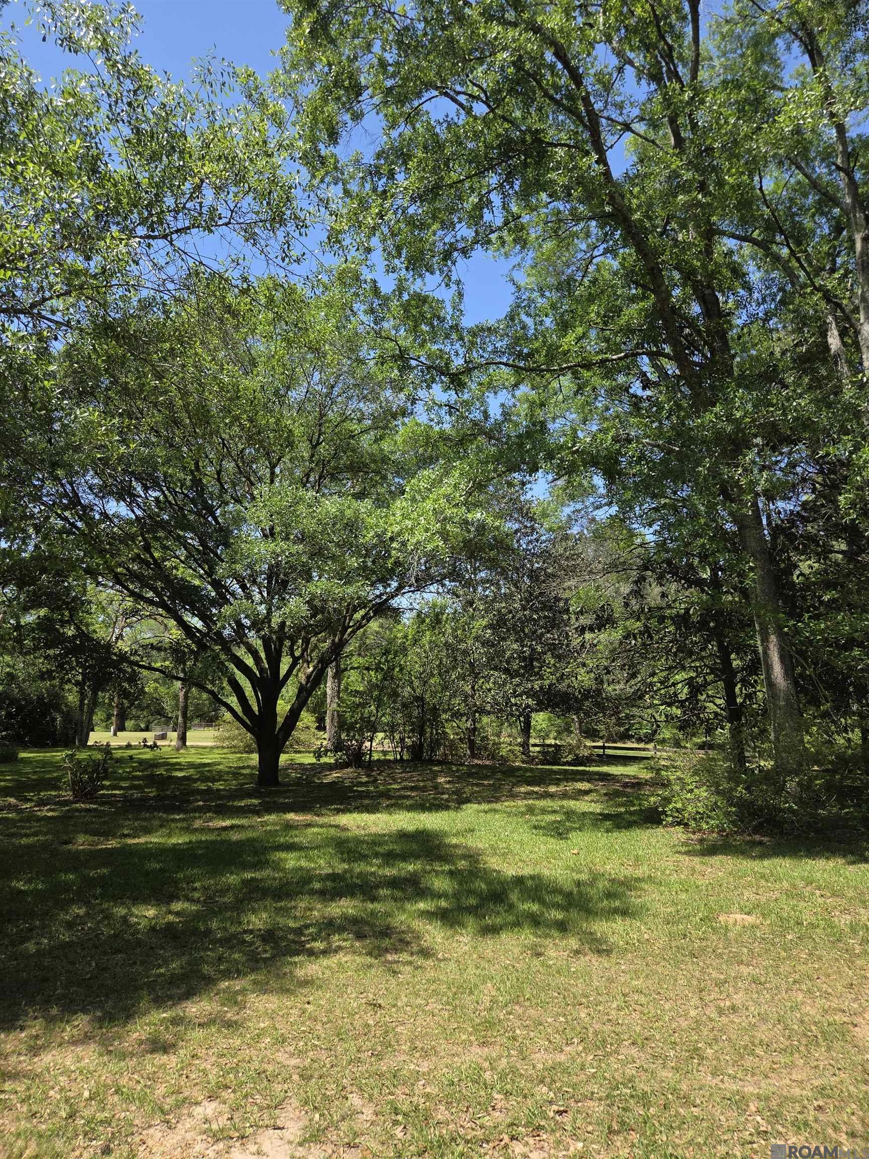 2010 Jackson La Rd, Woodville, Mississippi image 9