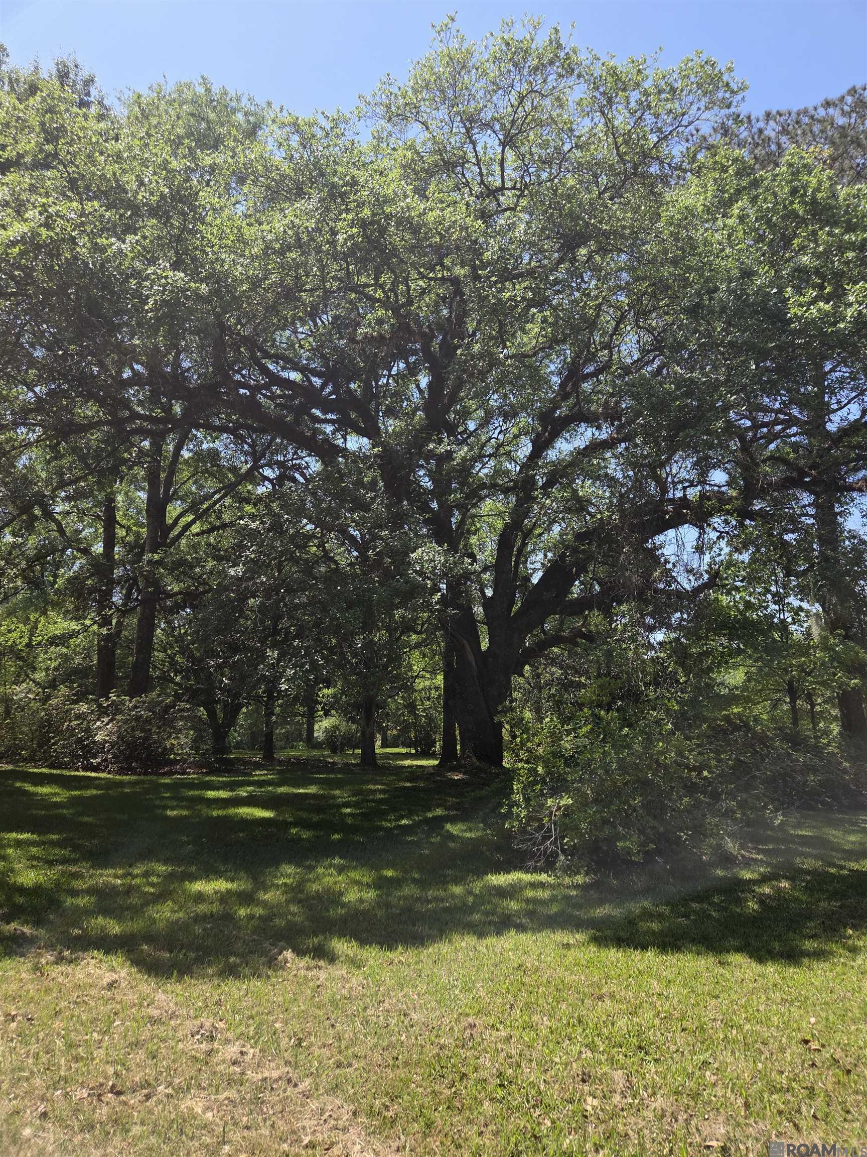 2010 Jackson La Rd, Woodville, Mississippi image 10