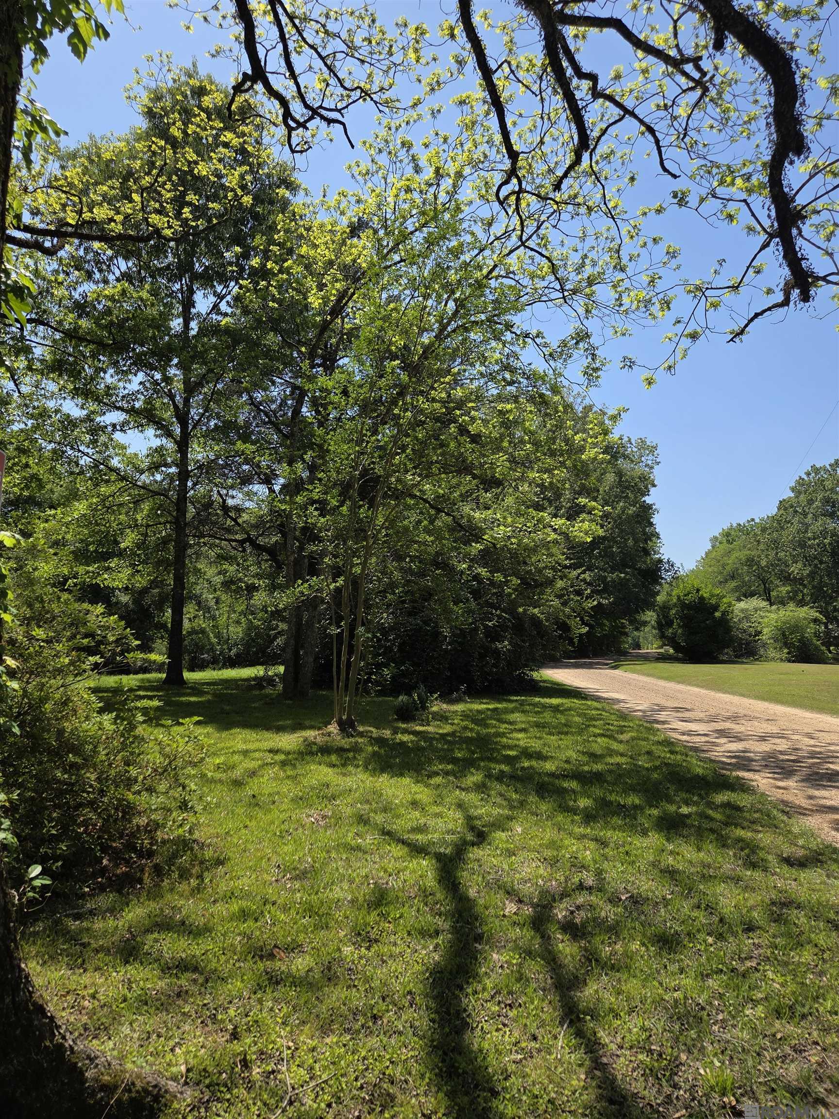 2010 Jackson La Rd, Woodville, Mississippi image 39