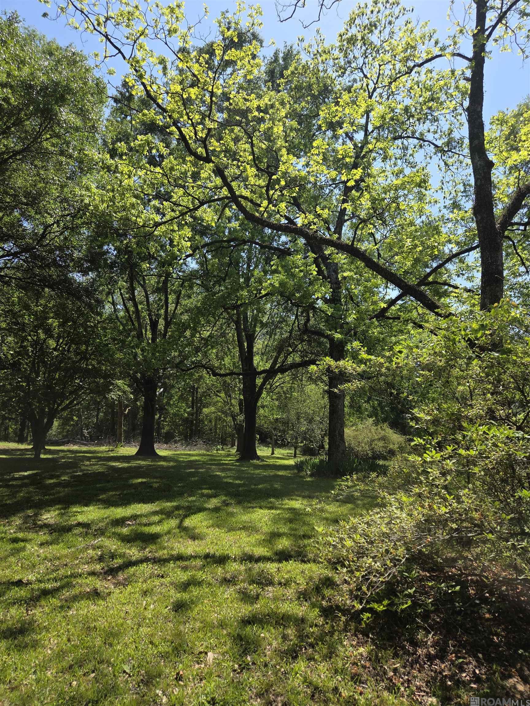 2010 Jackson La Rd, Woodville, Mississippi image 23