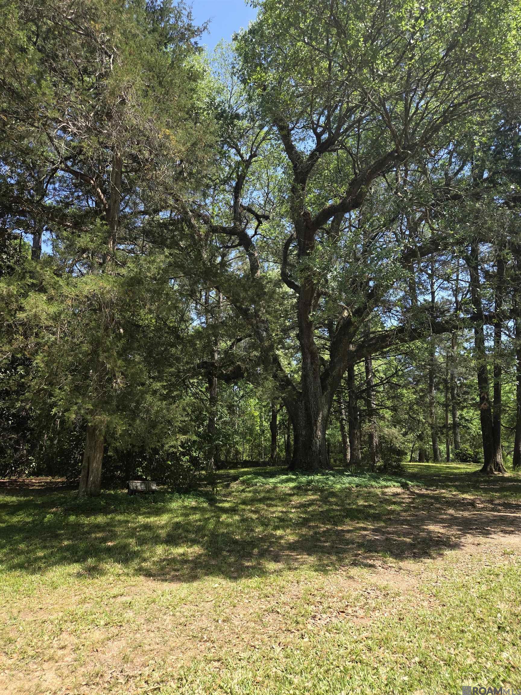2010 Jackson La Rd, Woodville, Mississippi image 8