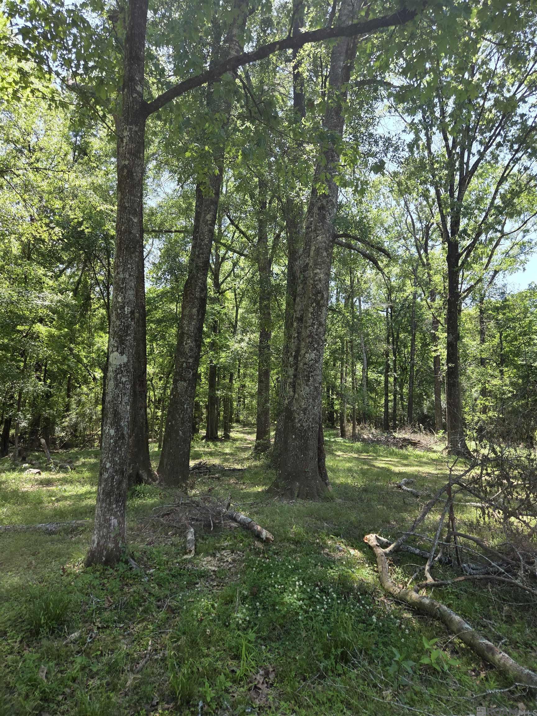 2010 Jackson La Rd, Woodville, Mississippi image 13