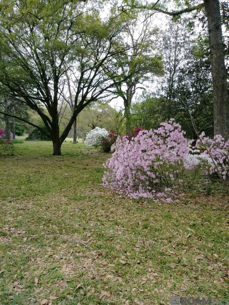 2010 Jackson La Rd, Woodville, Mississippi image 4