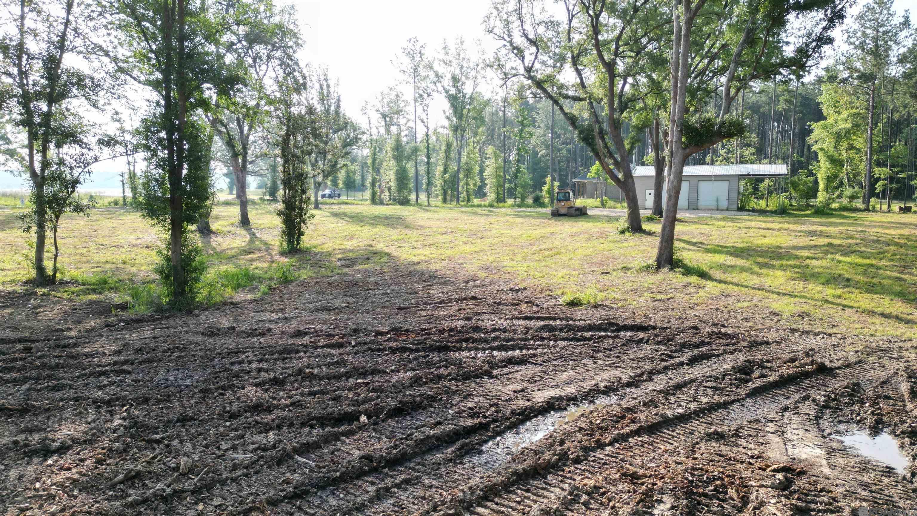3605 Nesom Rd, Denham Springs, Louisiana image 9