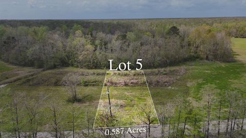 Vacant Land For Sale - 628 Bayou Dr<br/> Assumption County, Pierre Part, LA 70339