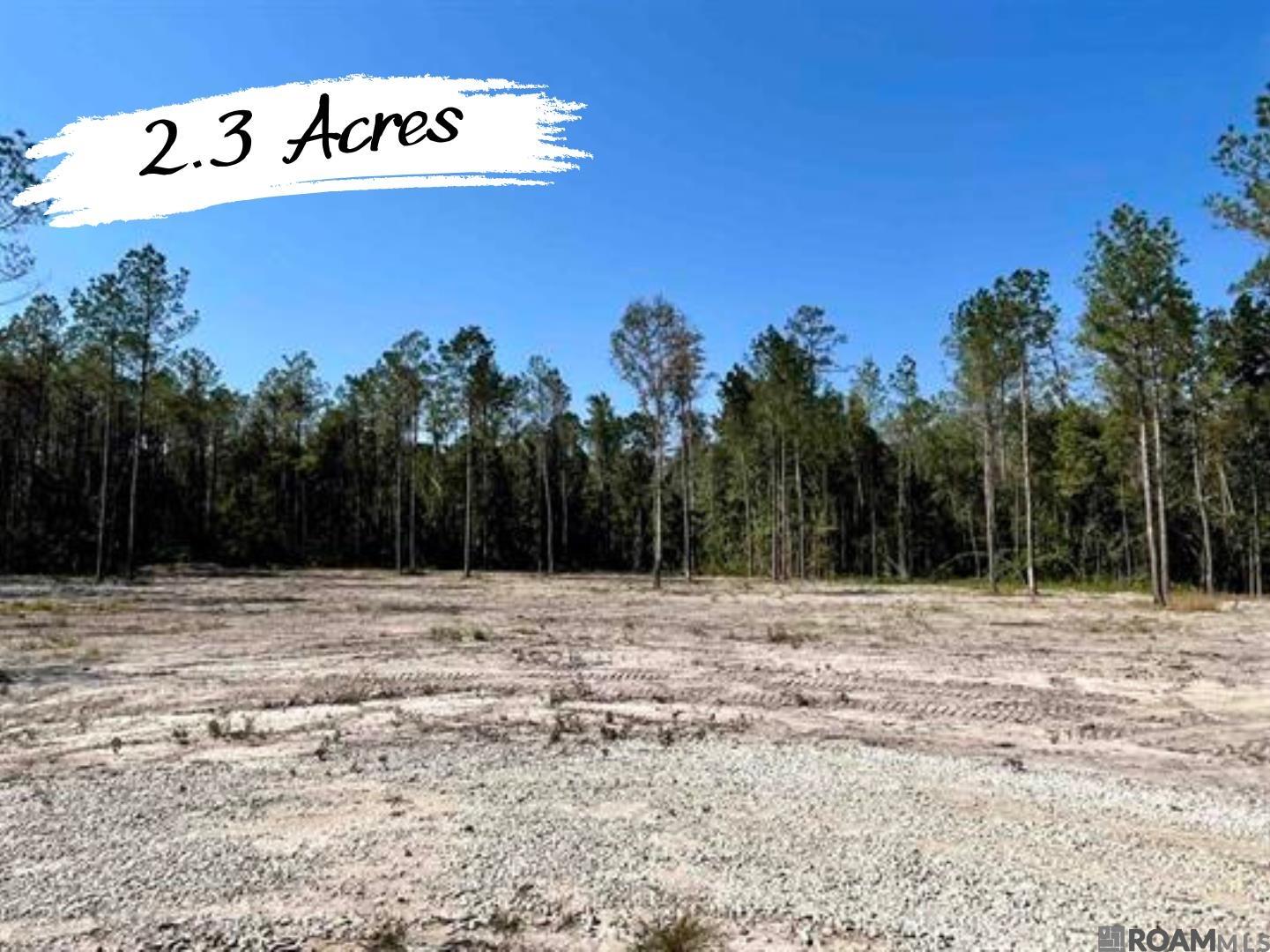 26250 Wagon Wheel Drive, Holden, Louisiana image 1
