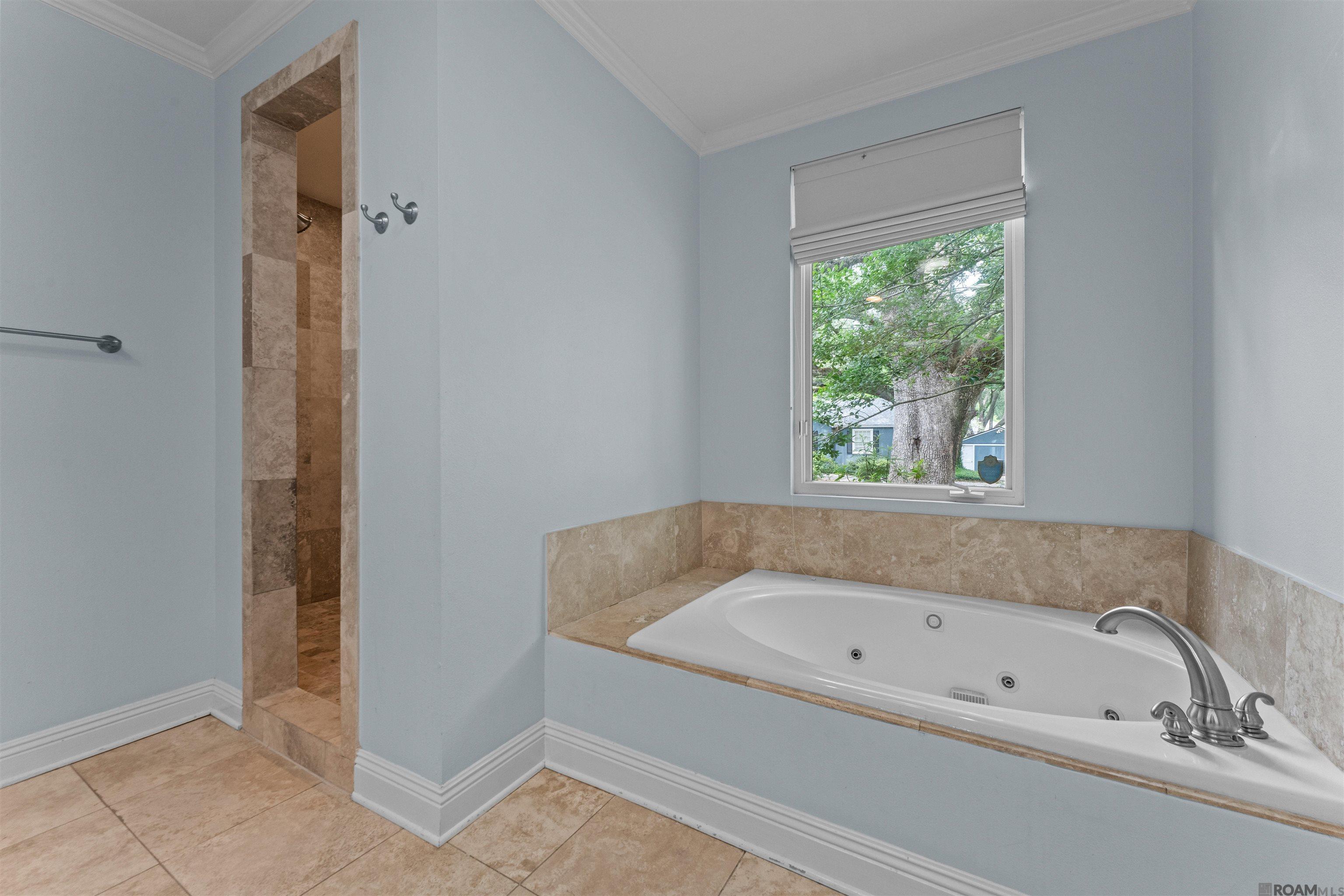 4420 Mimosa St, Baton Rouge, Louisiana image 14