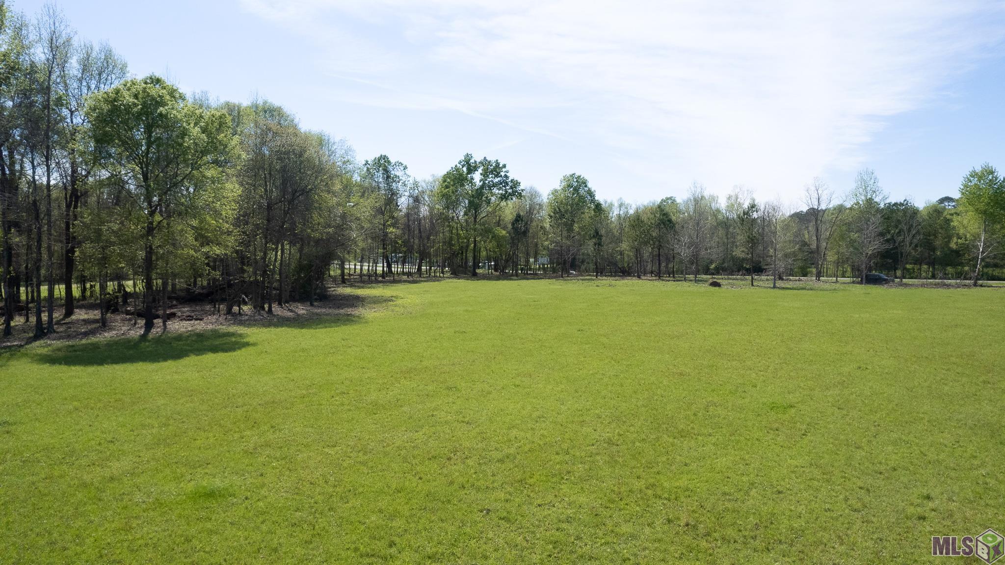 Lot LH-2C-A-1 La Hwy 421, Saint Francisville, Louisiana image 10