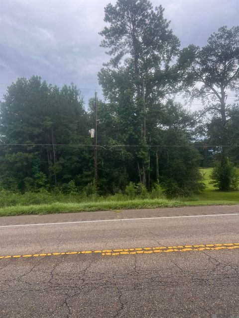 Vacant Land For Sale - 9183 La Hwy 67<br/> Clinton, LA 70722