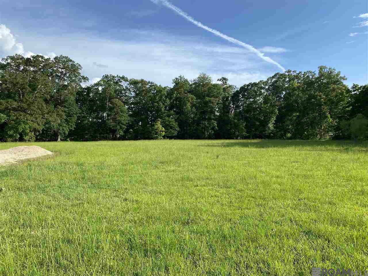 9843 Blackwater Rd, Baker, Louisiana image 2