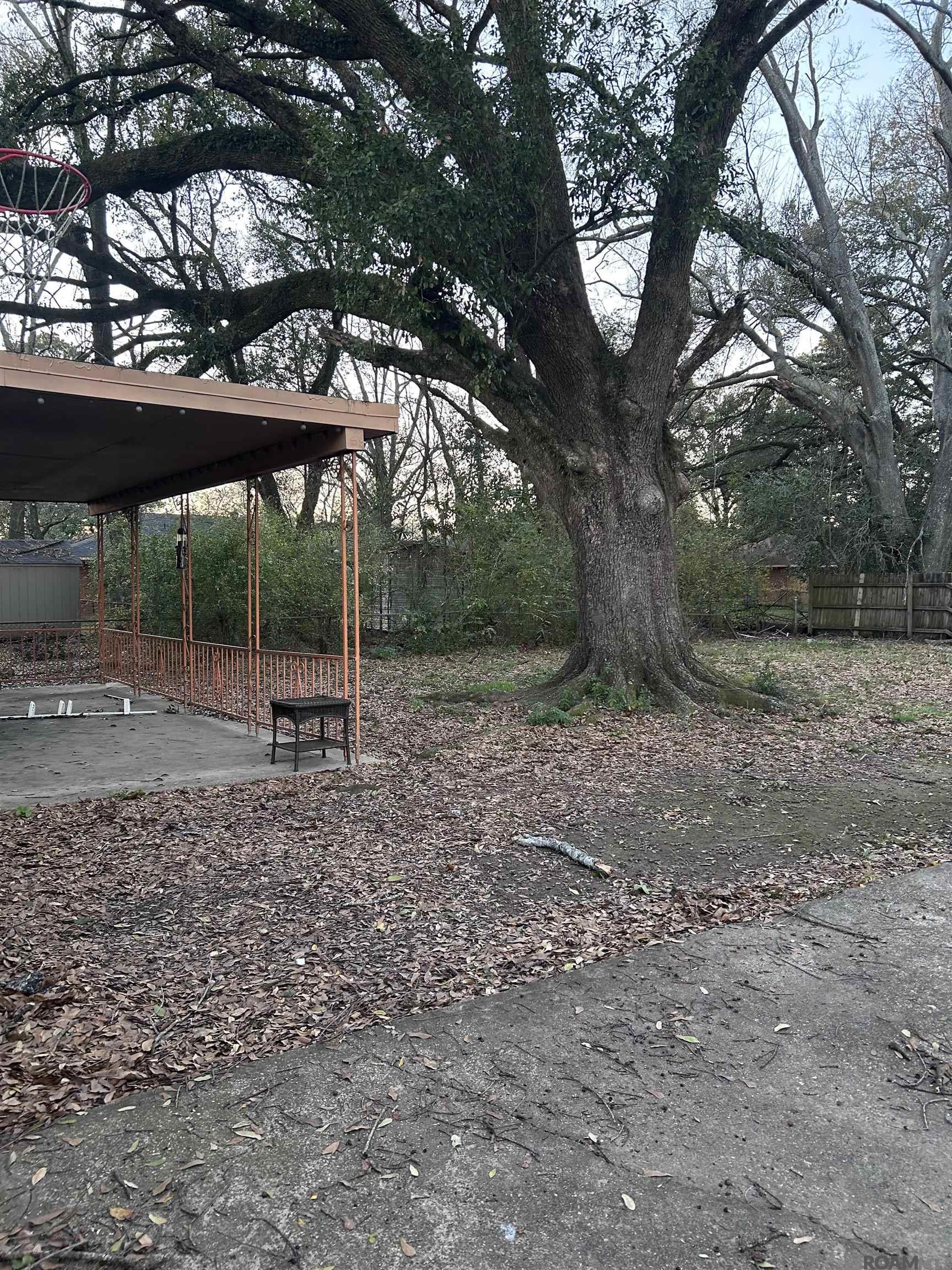 3725 Winbourne Ave, Baton Rouge, Louisiana image 3