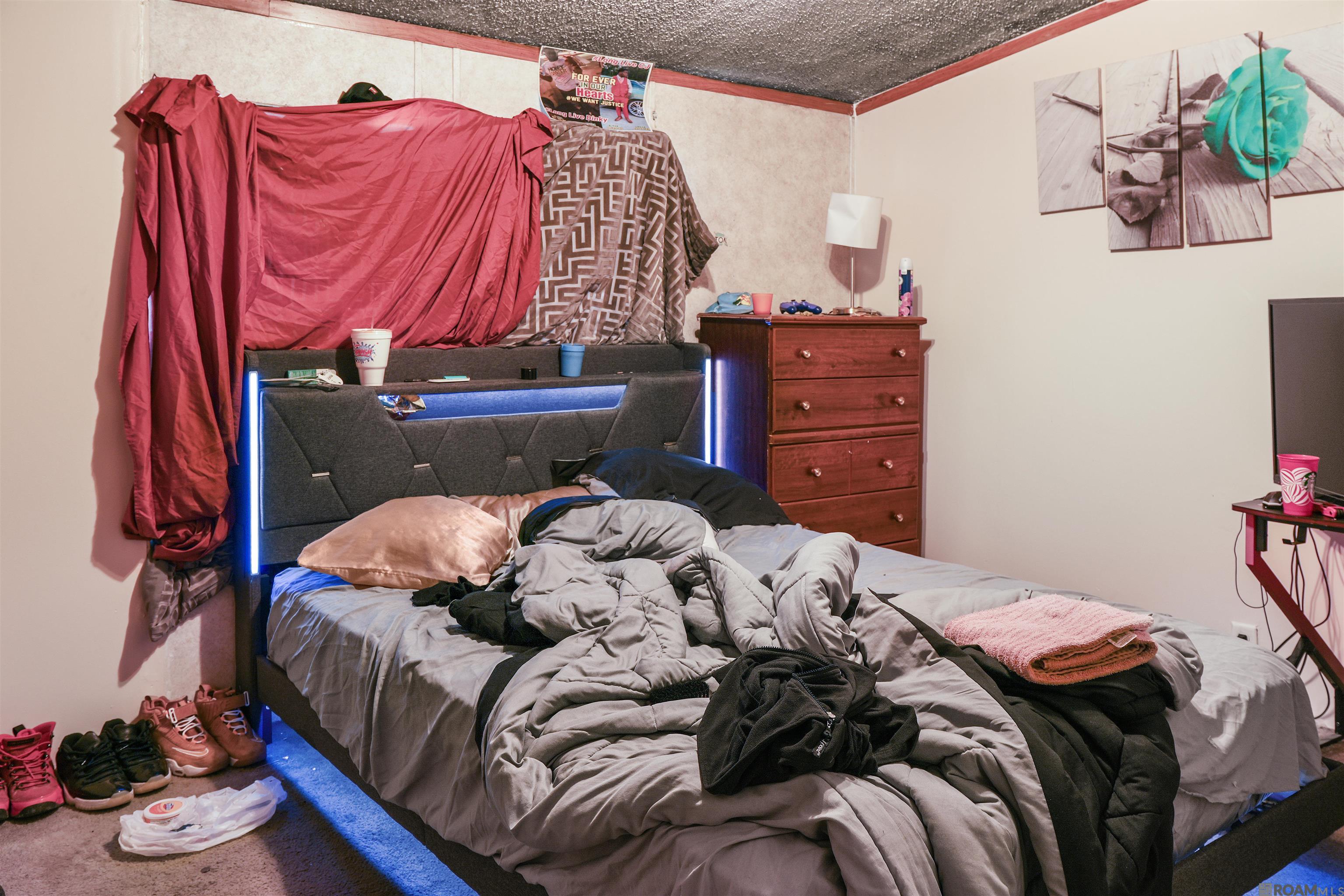 806 S Quiett Ave, Gonzales, Louisiana image 12