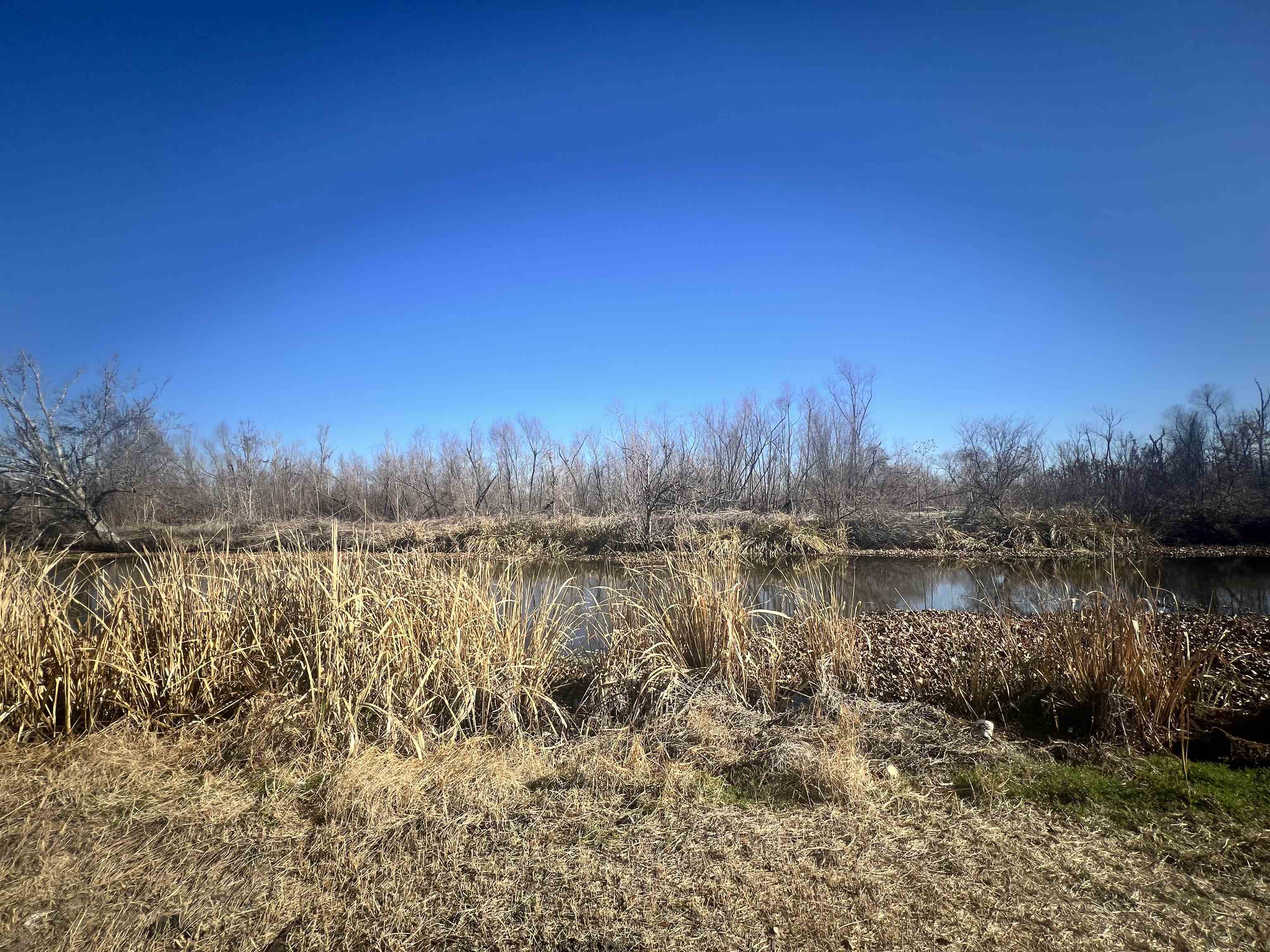 422 Sharnell Drive, Houma, Louisiana image 4