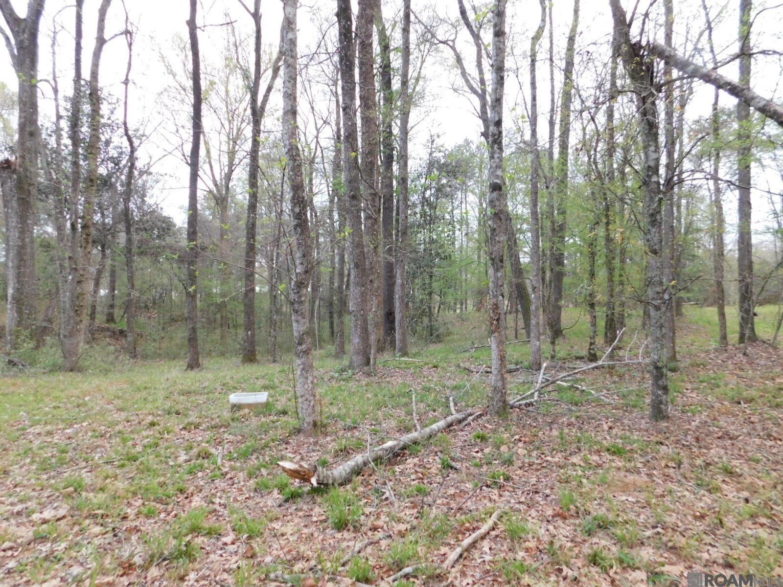 13812 Sweetwoods Hollow Dr, Saint Francisville, Louisiana image 5