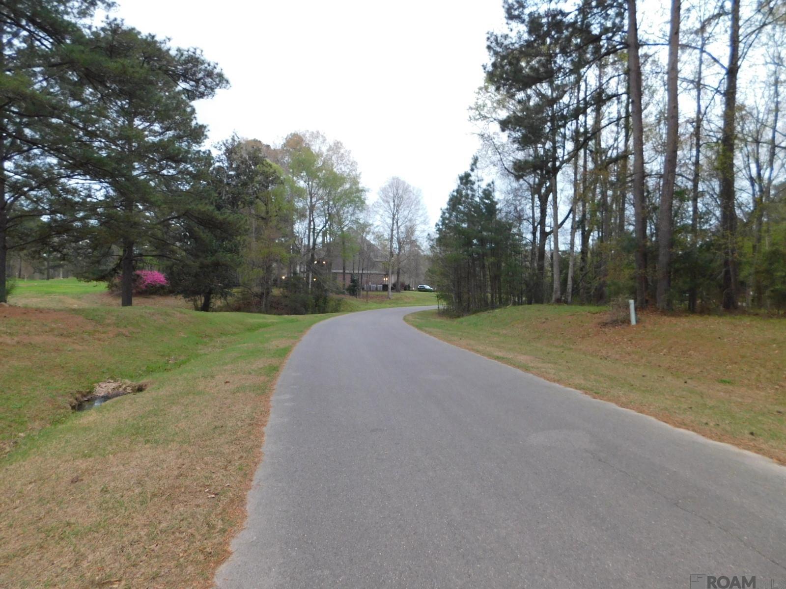 13812 Sweetwoods Hollow Dr, Saint Francisville, Louisiana image 15