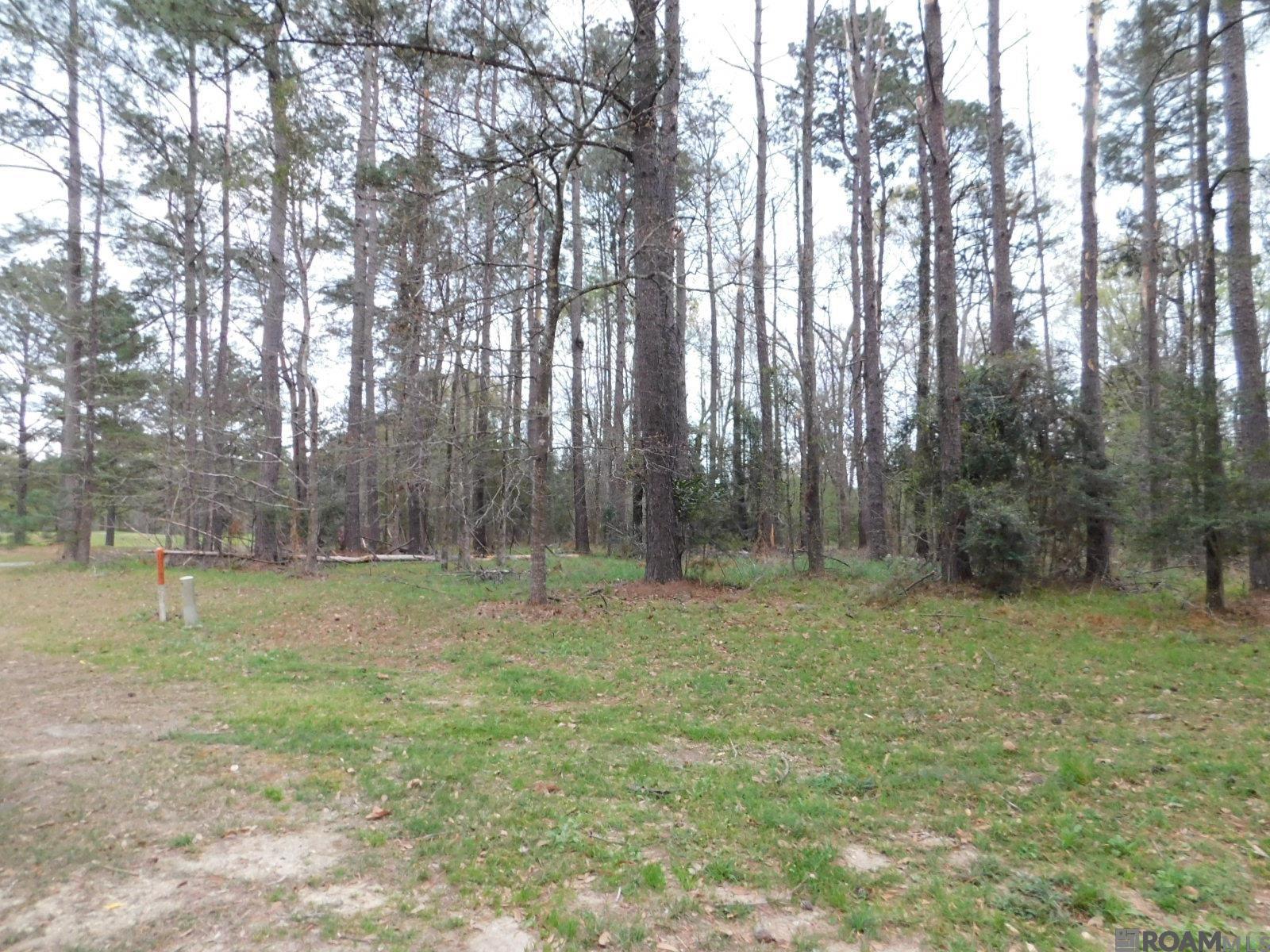 13812 Sweetwoods Hollow Dr, Saint Francisville, Louisiana image 3